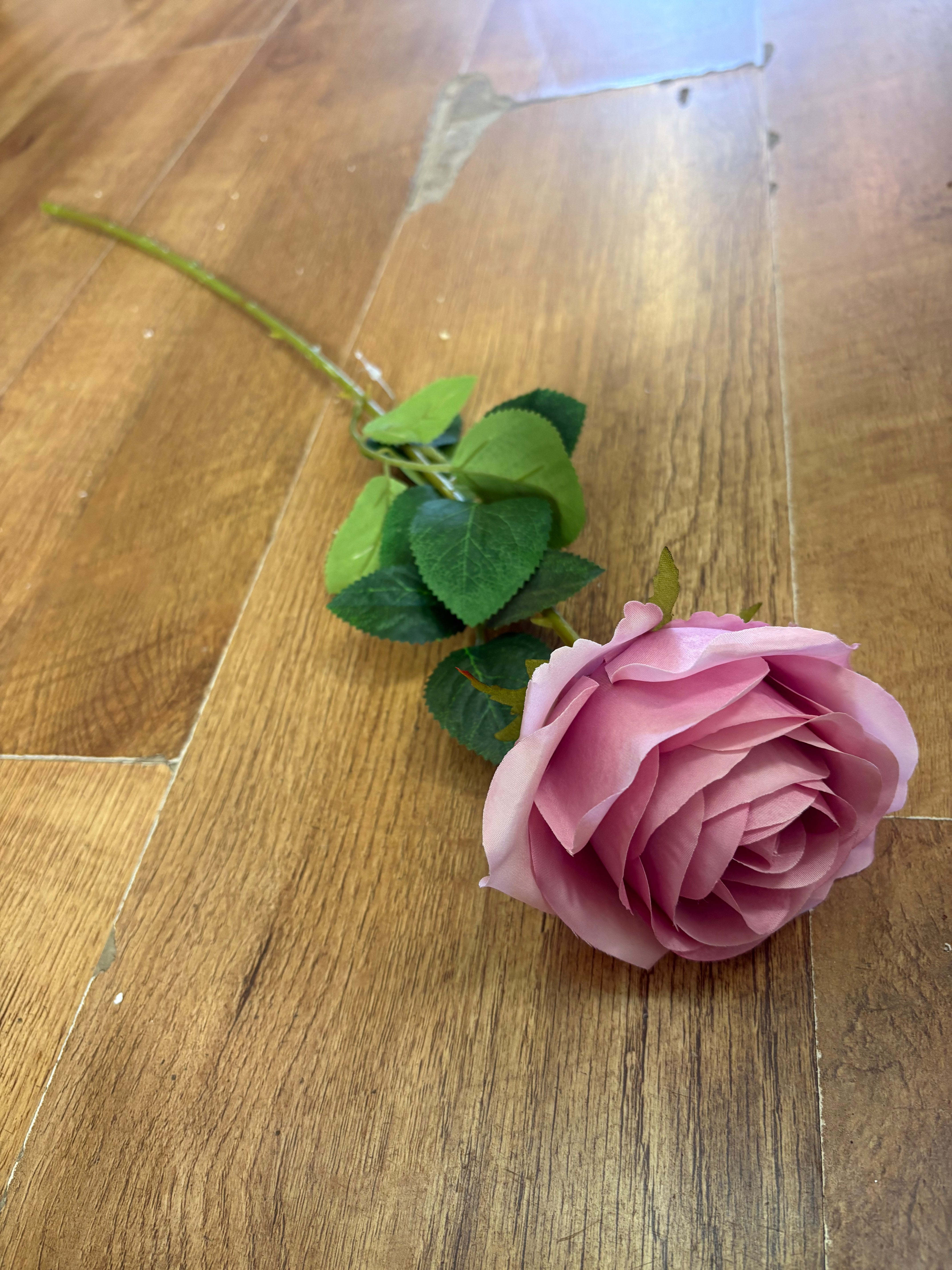 Blush pink single harper rose
