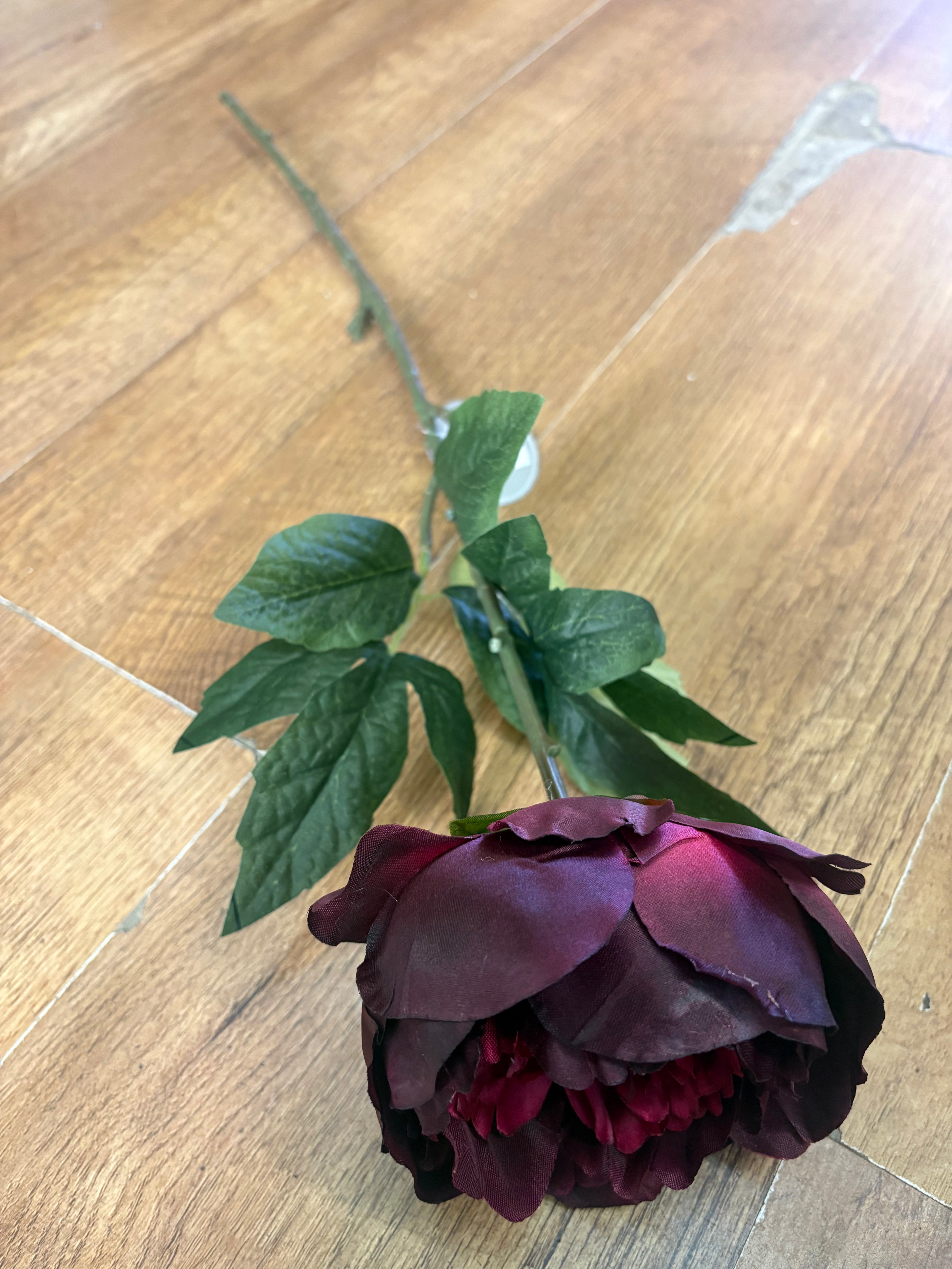 Long stem single burgundy Aurora peony