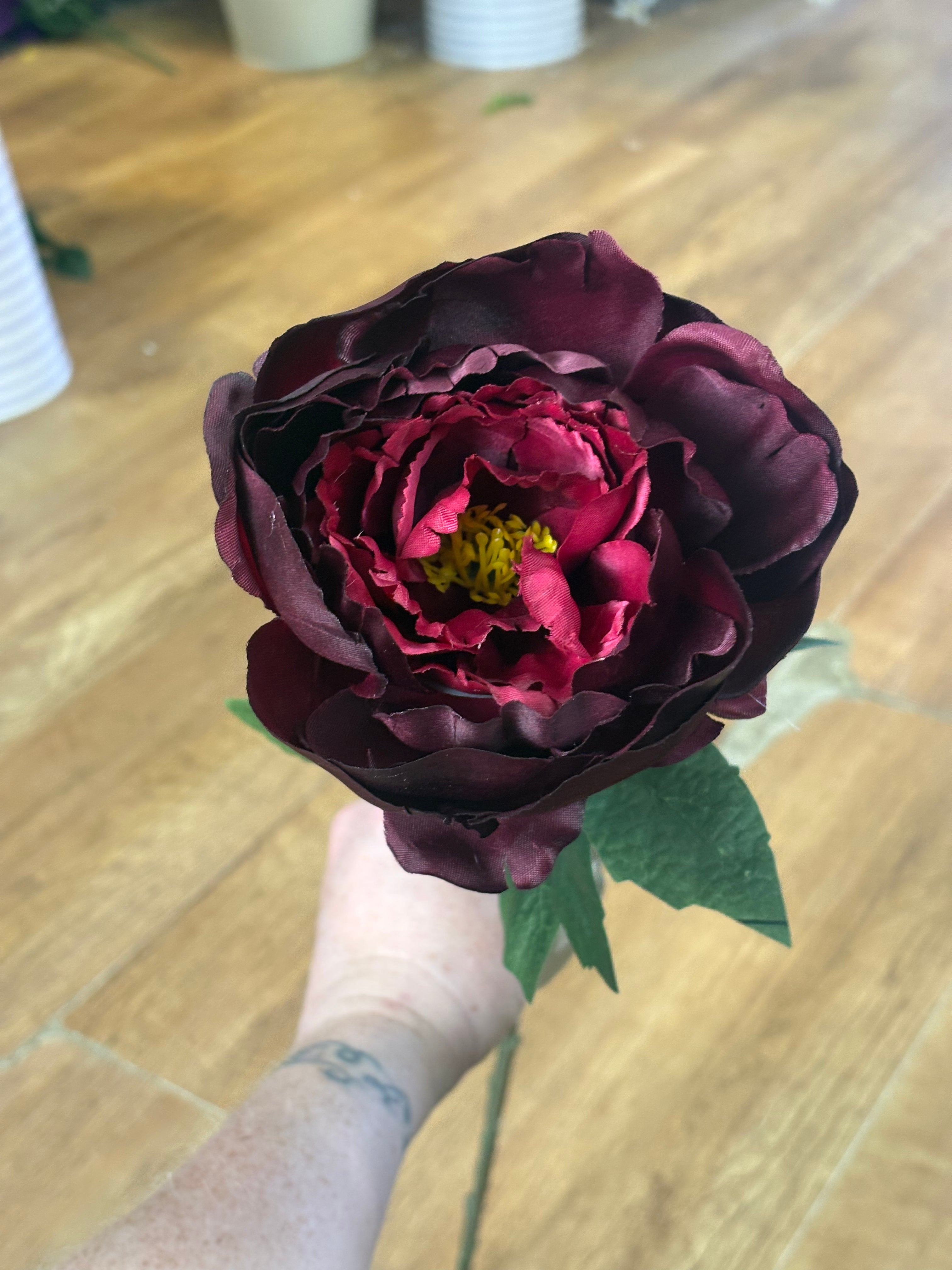 Long stem single burgundy Aurora peony