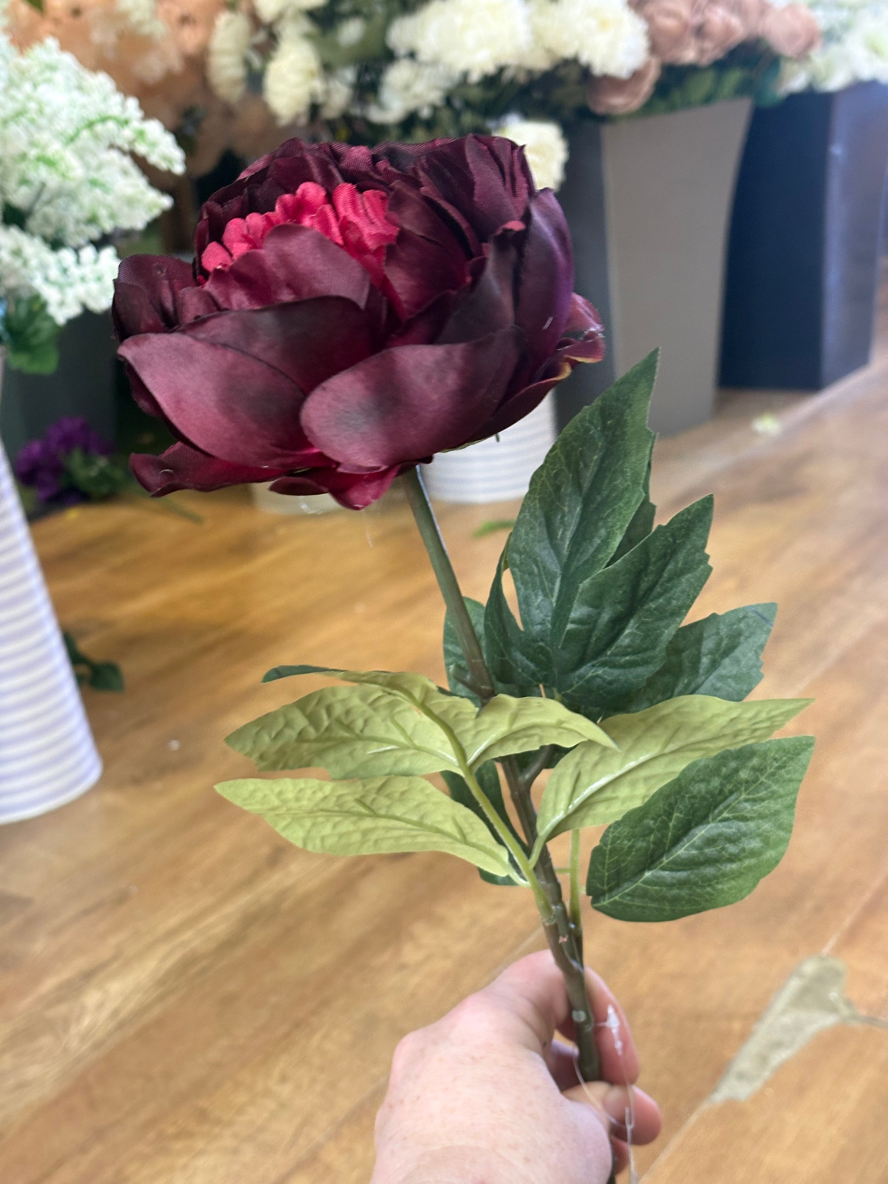 Long stem single burgundy Aurora peony