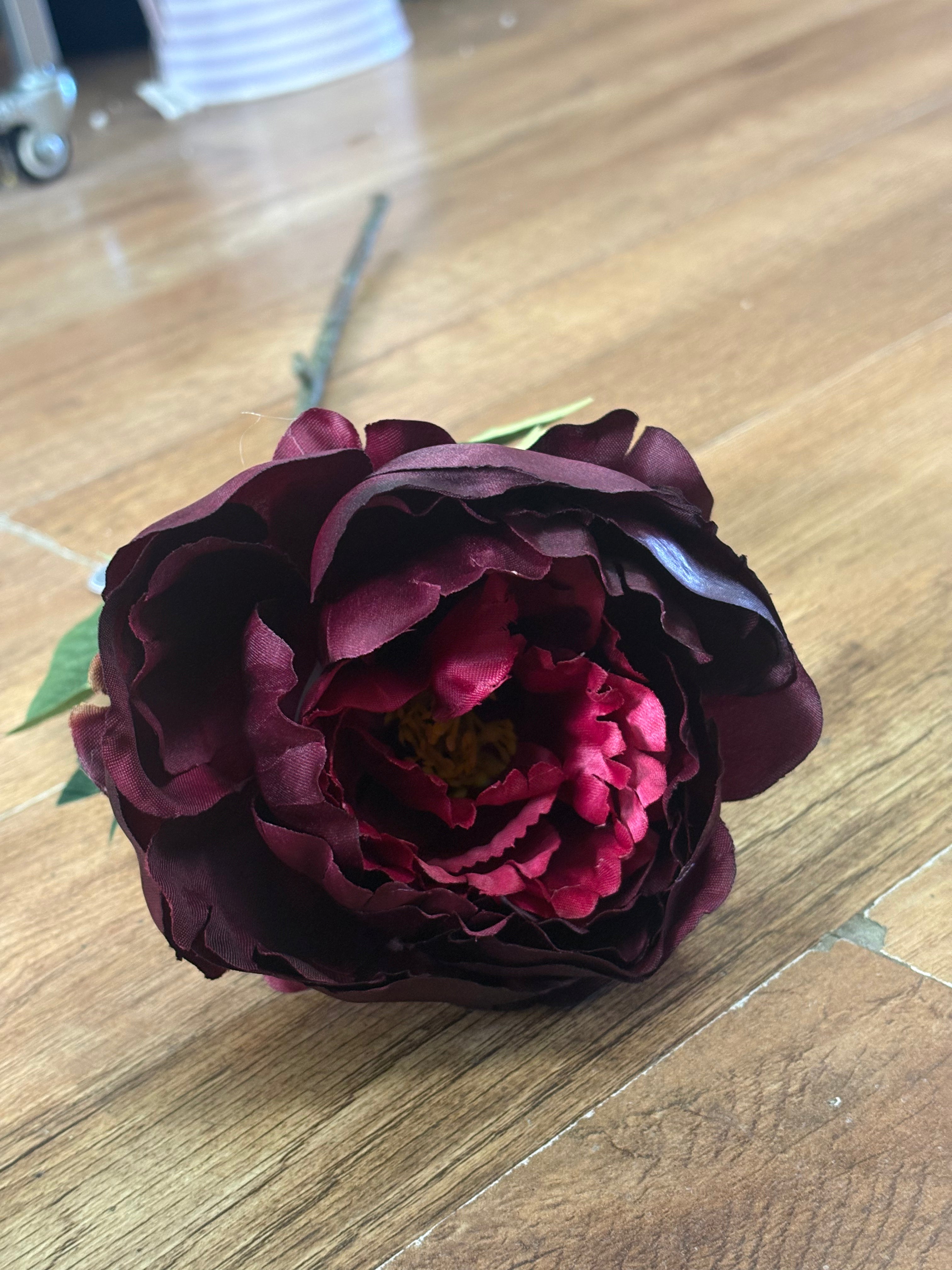 Long stem single burgundy Aurora peony