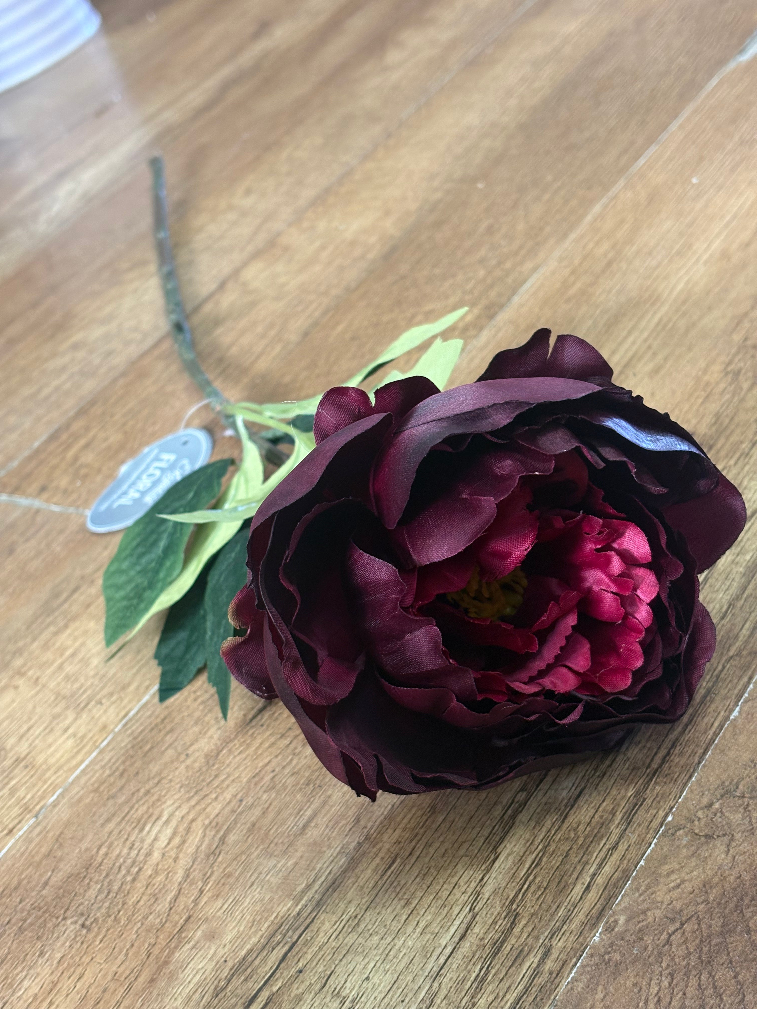 Long stem single burgundy Aurora peony