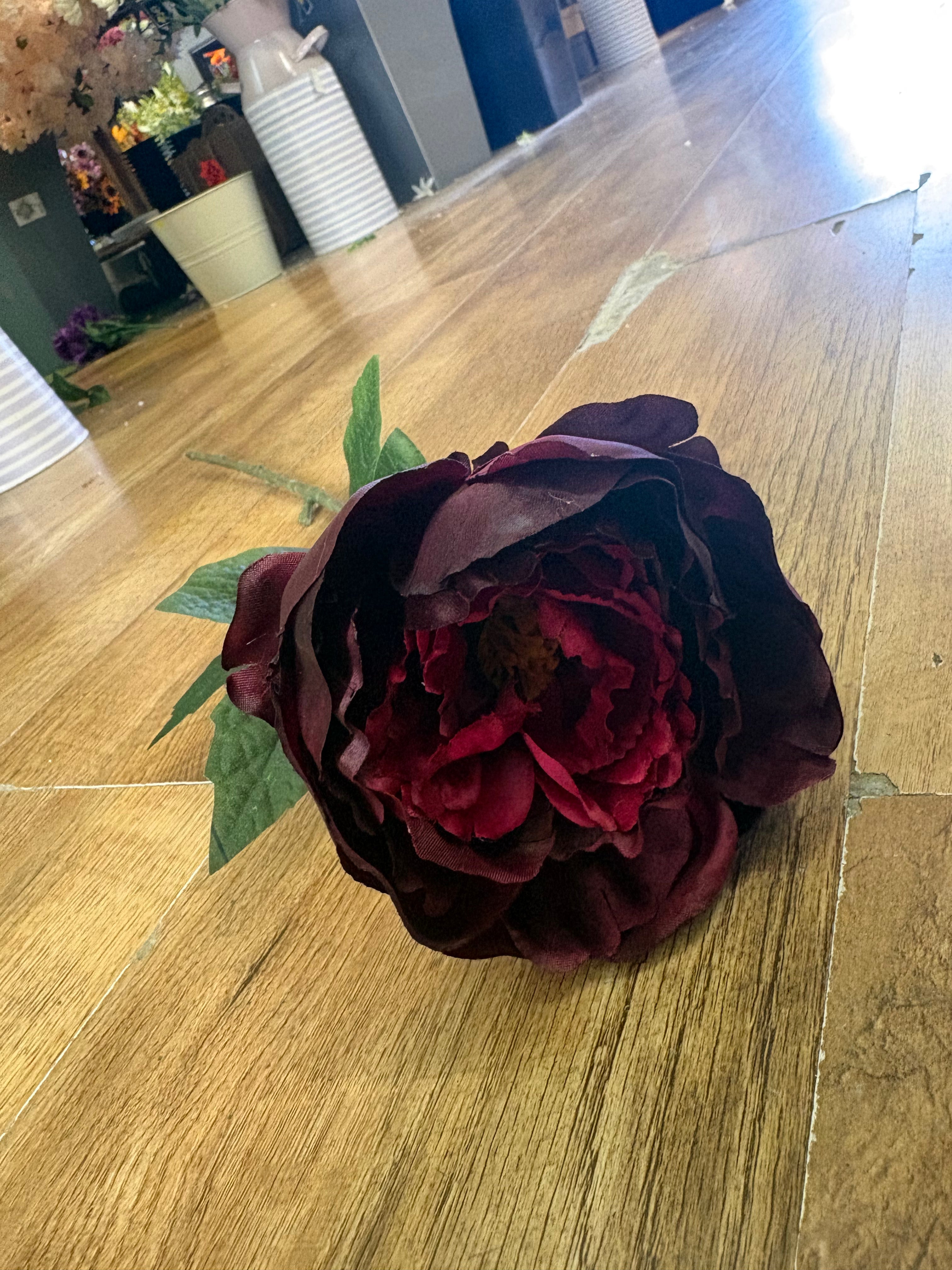 Long stem single burgundy Aurora peony