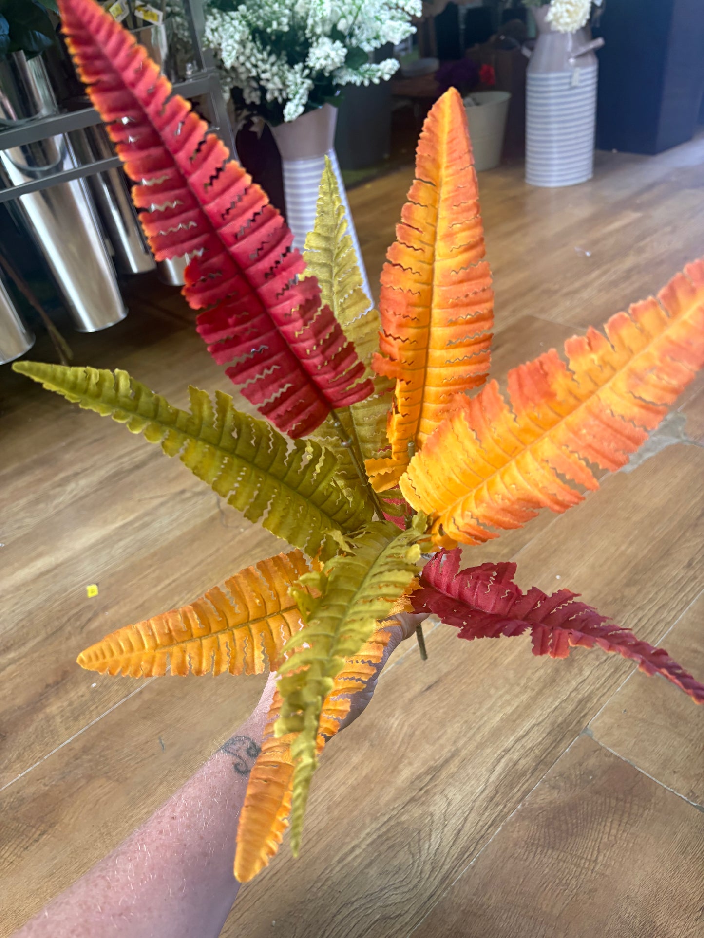 Autumn fern bunch