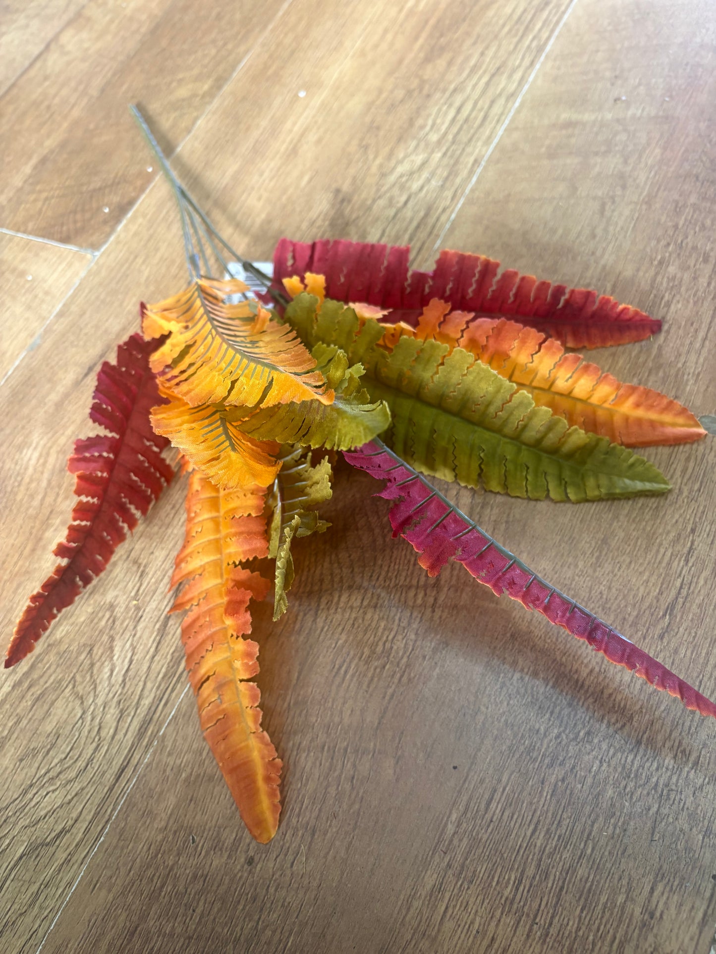 Autumn fern bunch