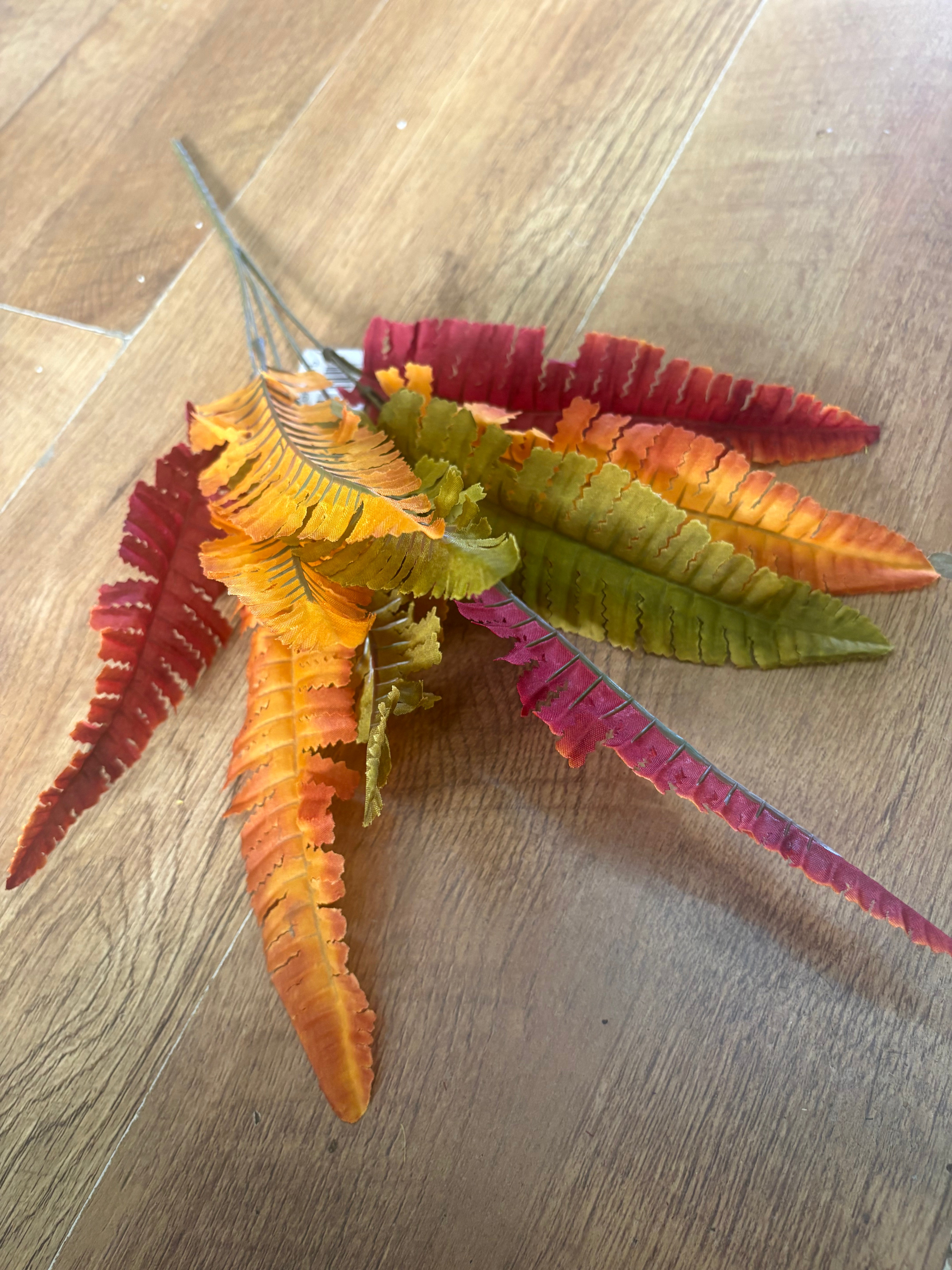 Autumn fern bunch