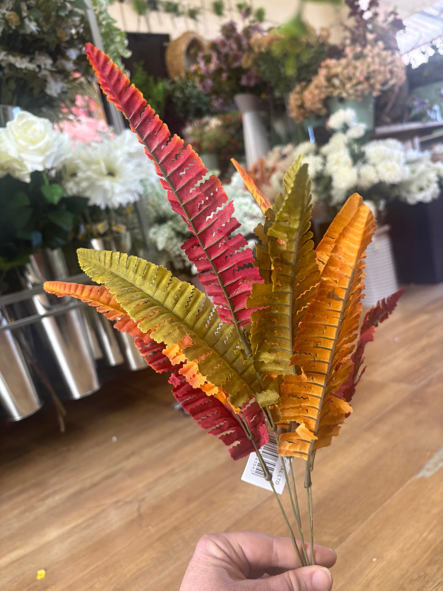 Autumn fern bunch