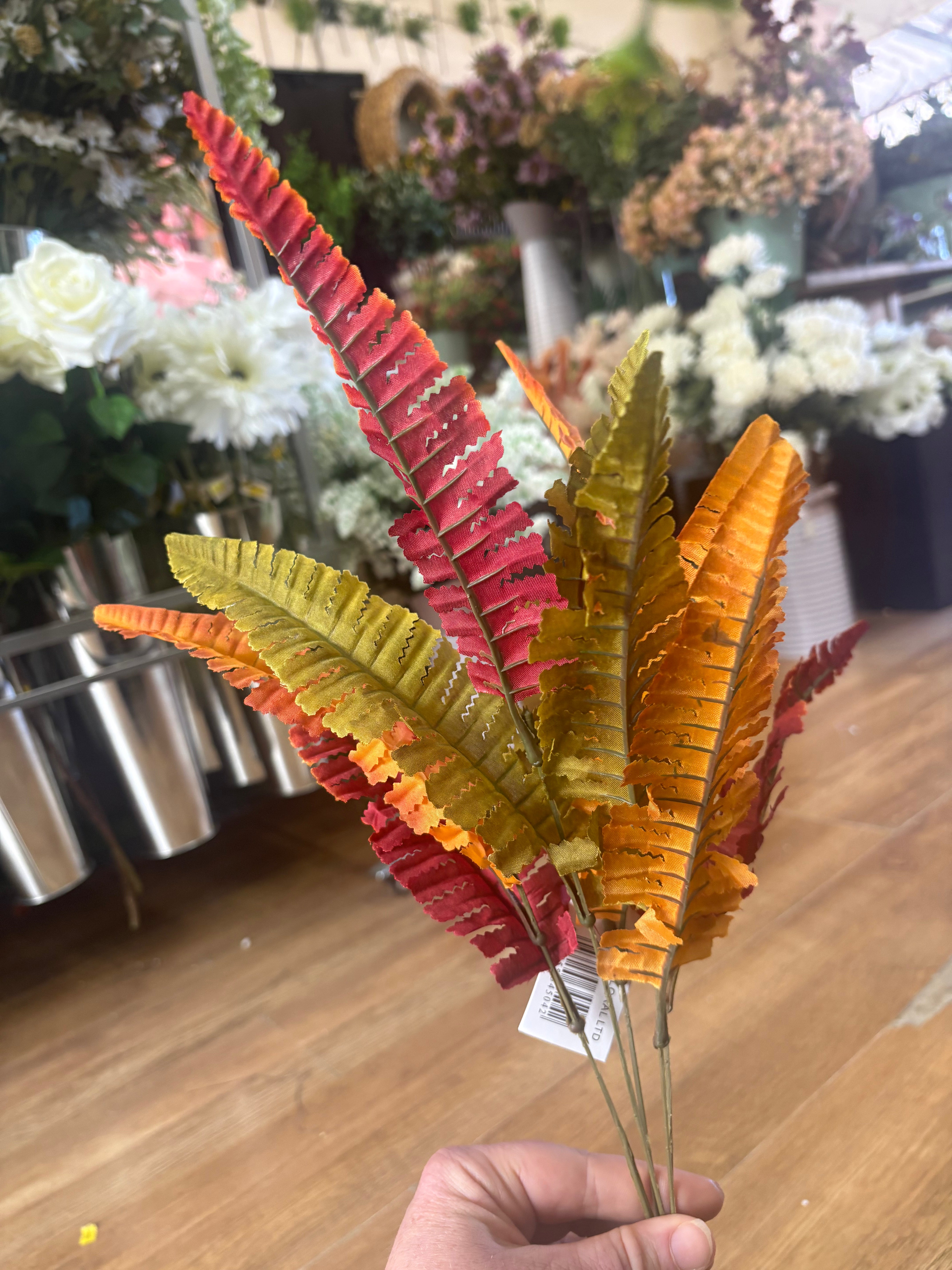 Autumn fern bunch