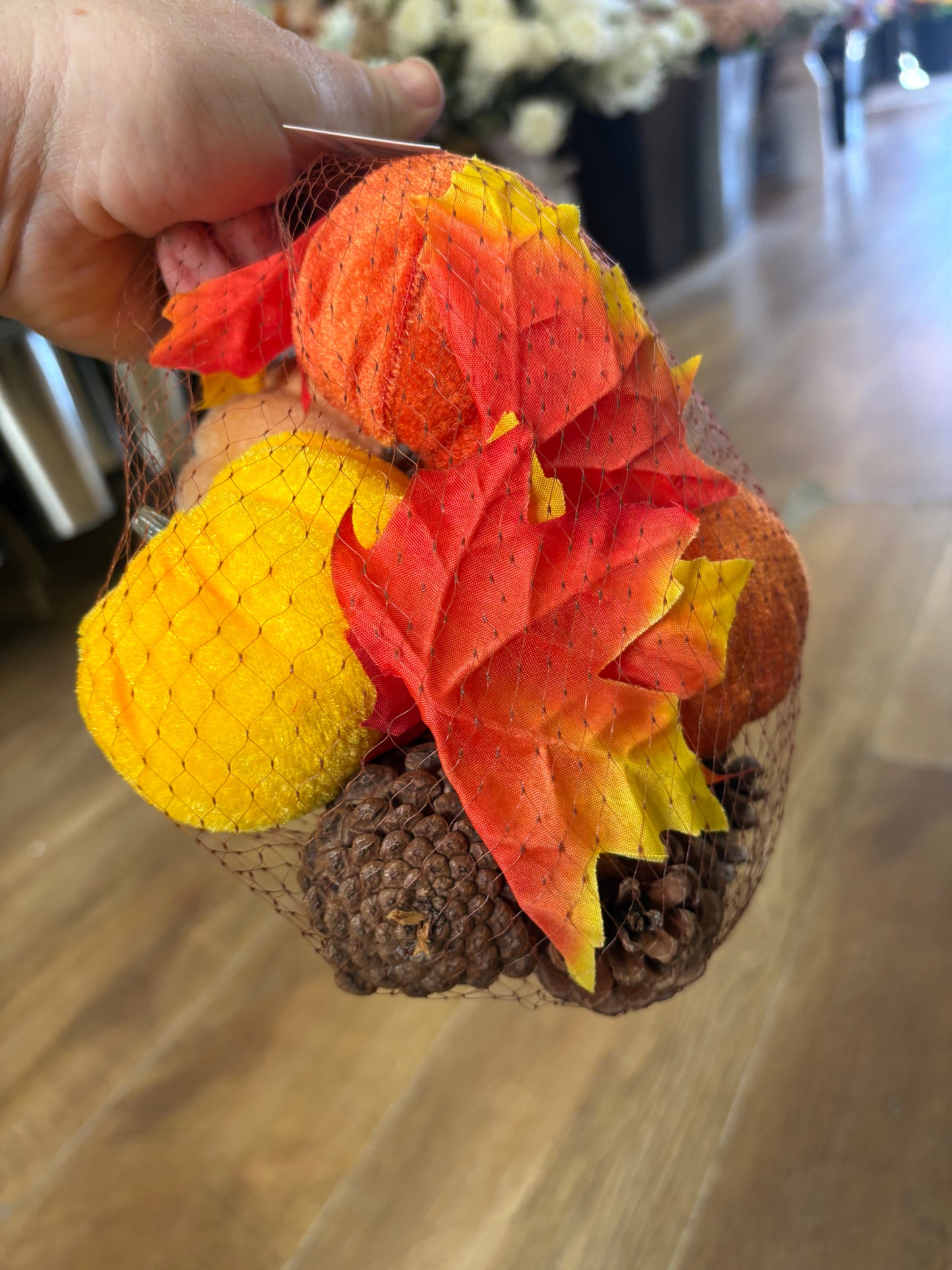 Velvet pumpkin, leaves and pine cones set