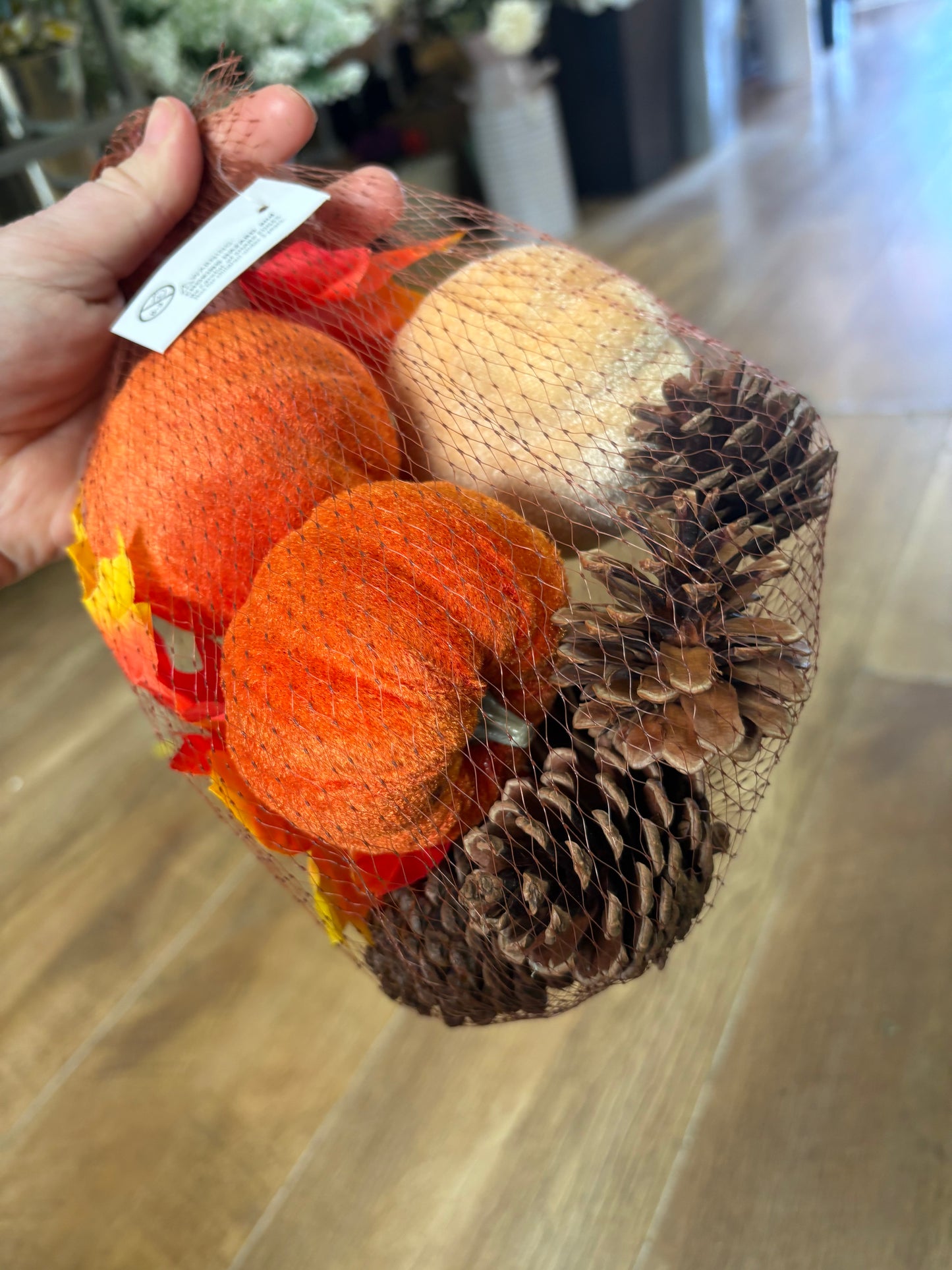 Velvet pumpkin, leaves and pine cones set