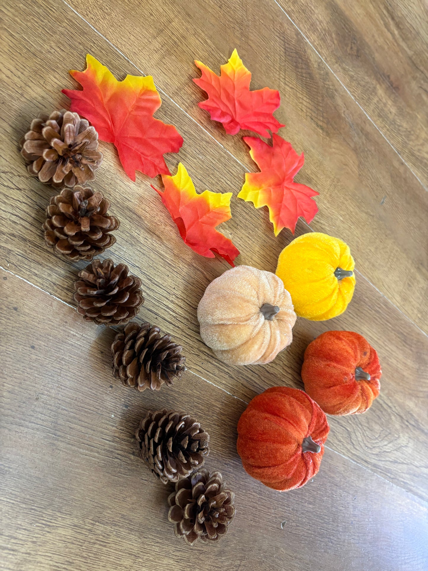 Velvet pumpkin, leaves and pine cones set