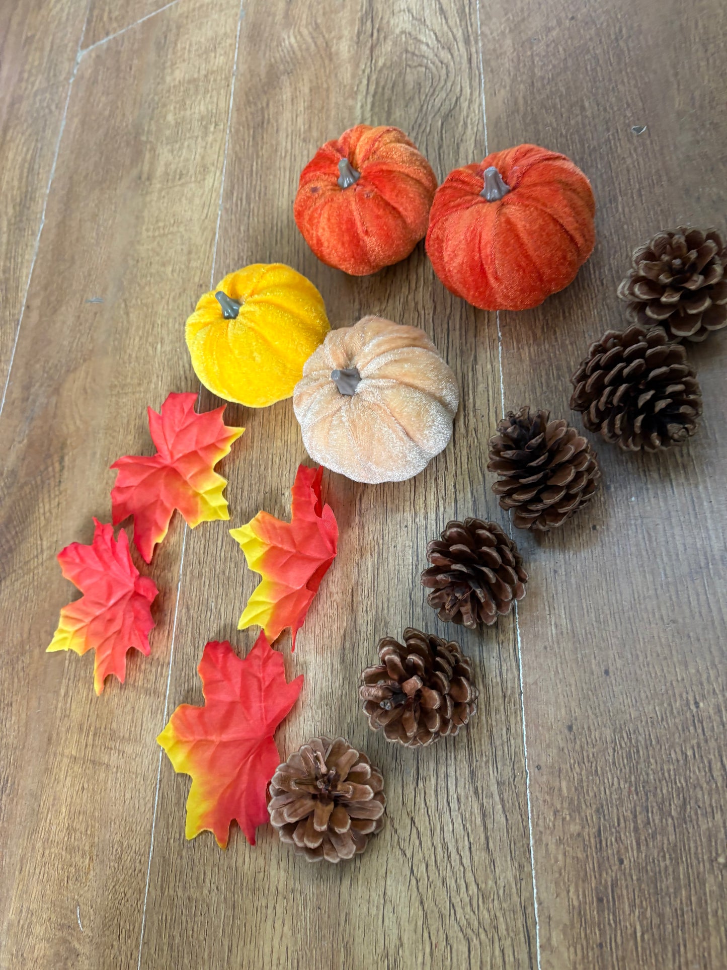 Velvet pumpkin, leaves and pine cones set