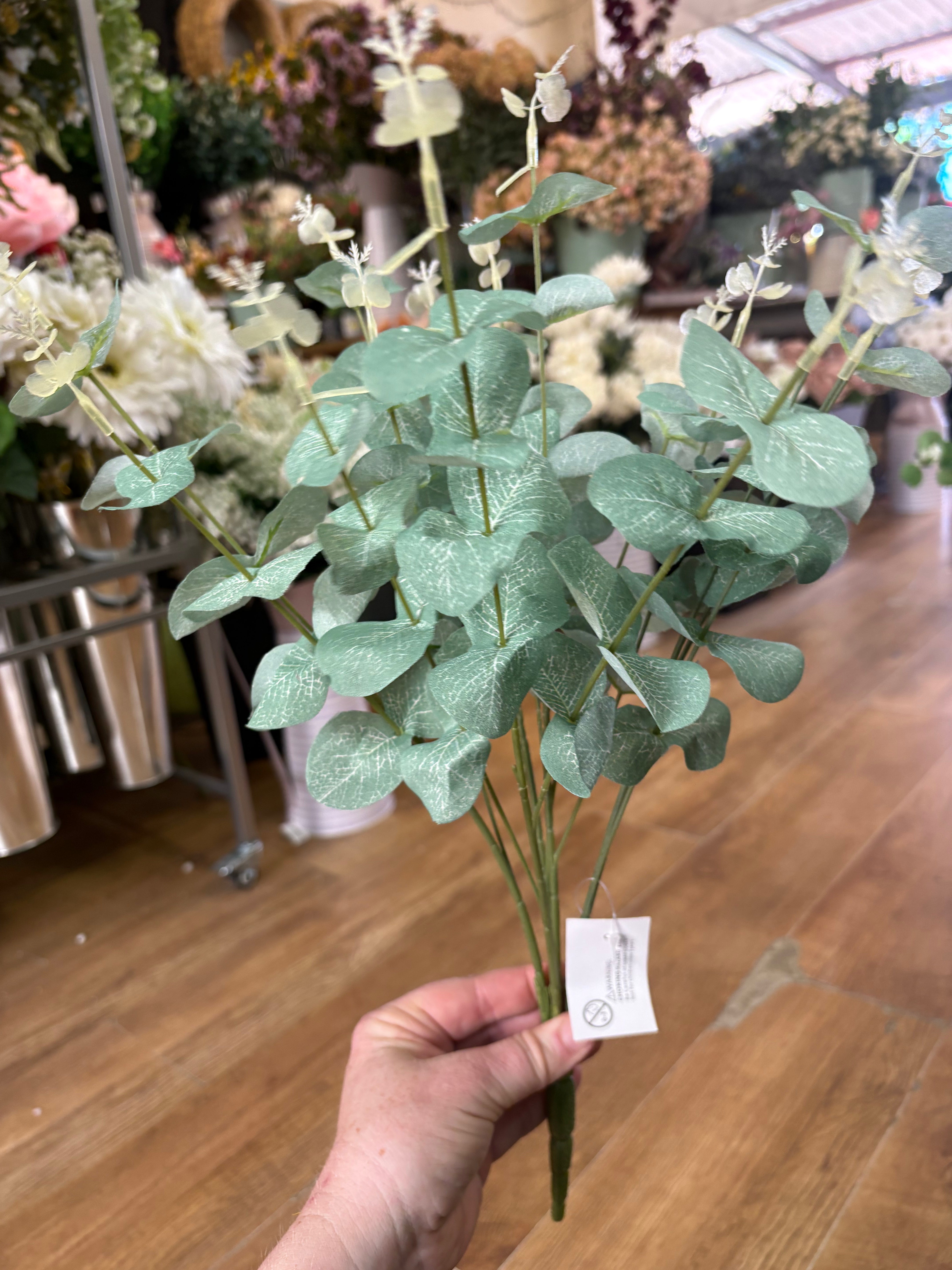 Large eucalyptus bunch