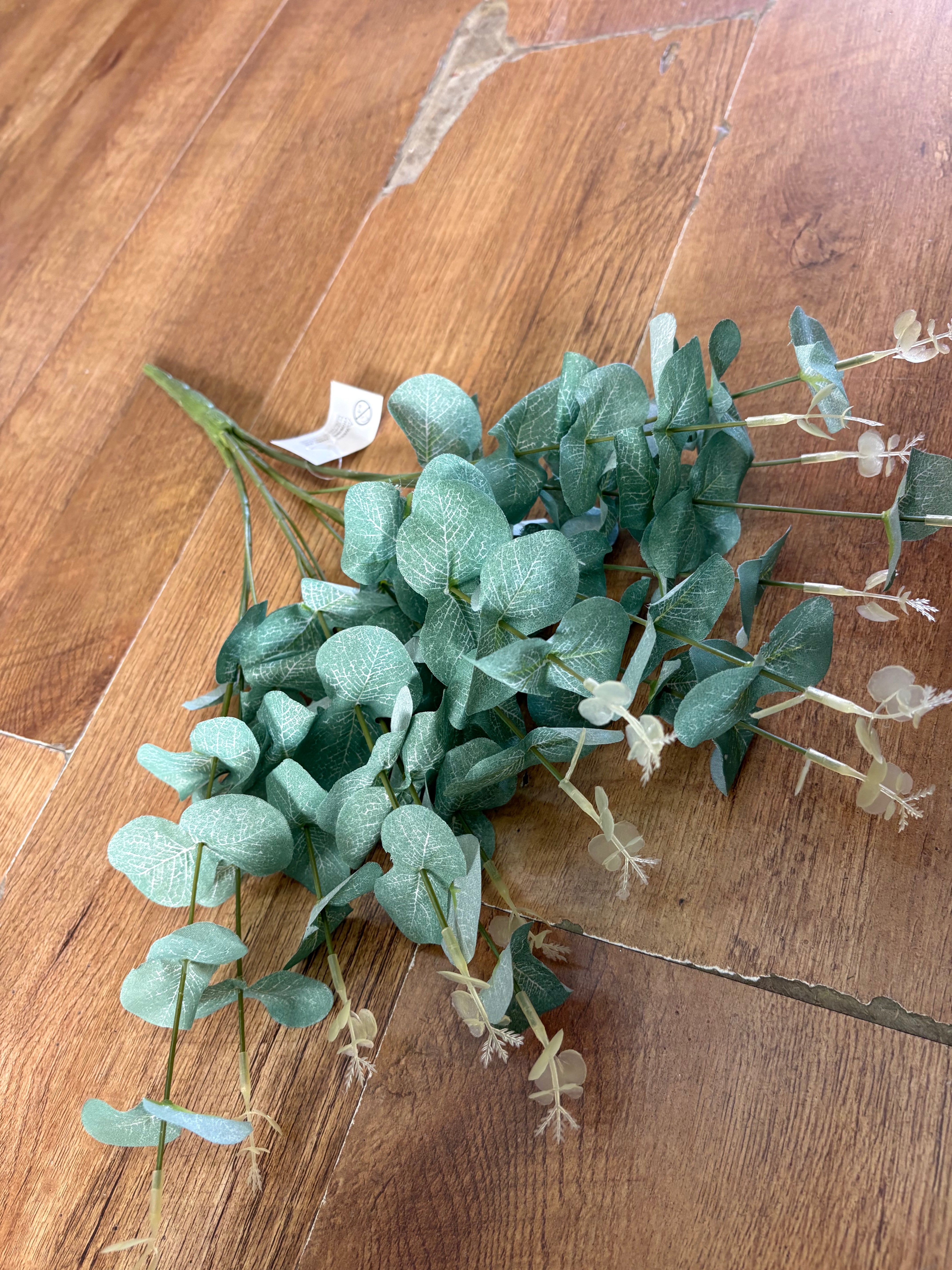 Large eucalyptus bunch