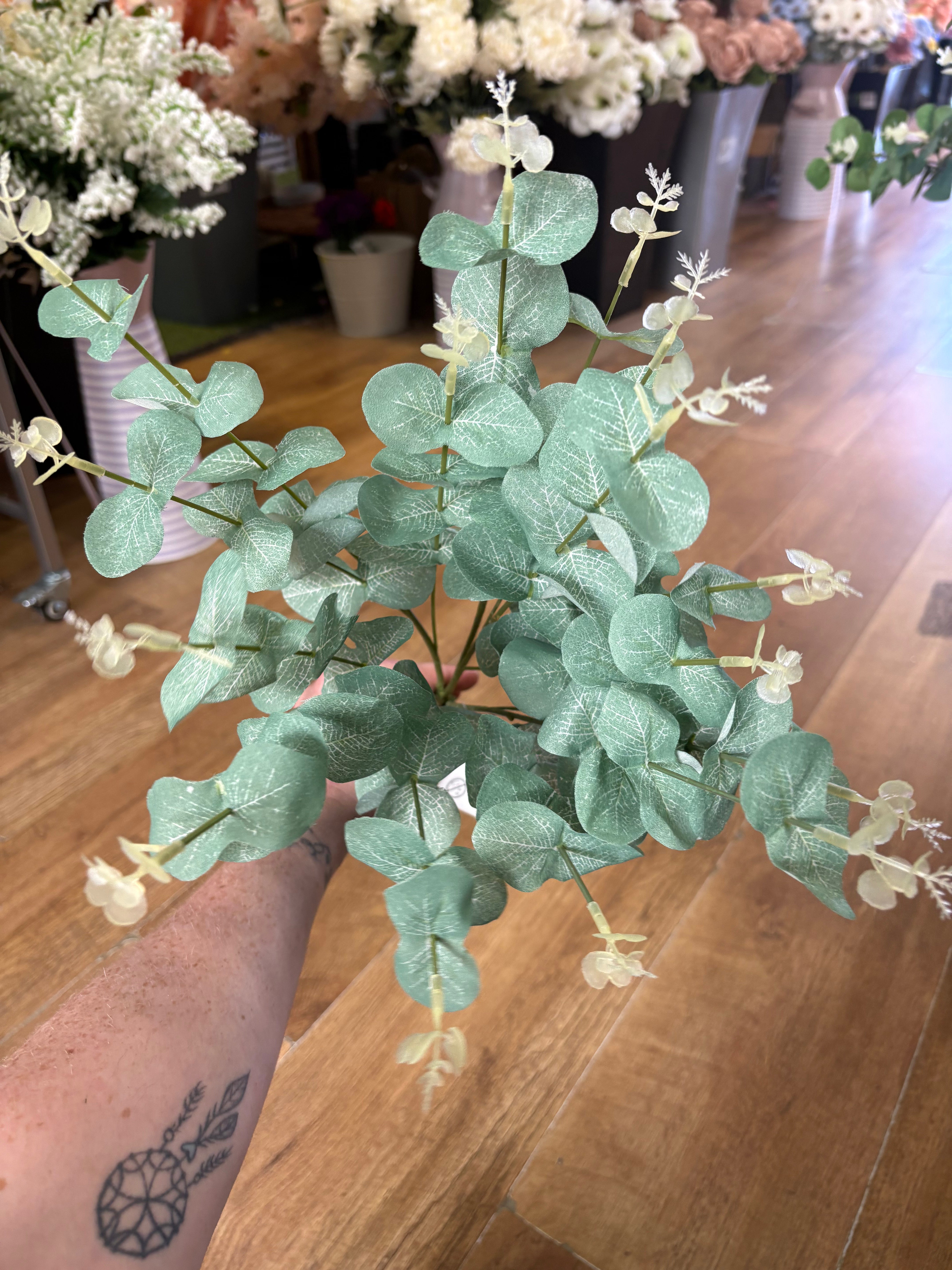 Large eucalyptus bunch