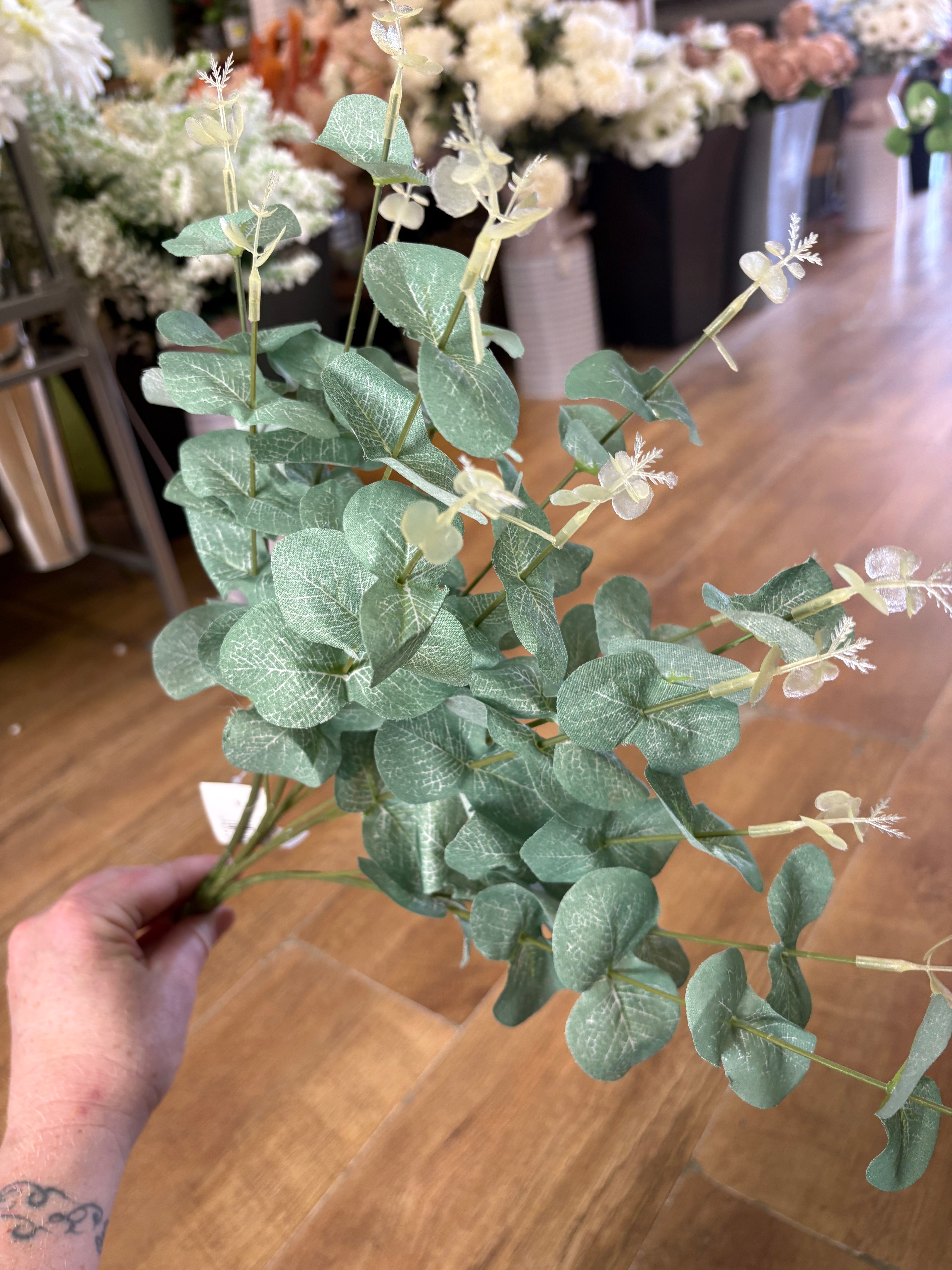 Large eucalyptus bunch