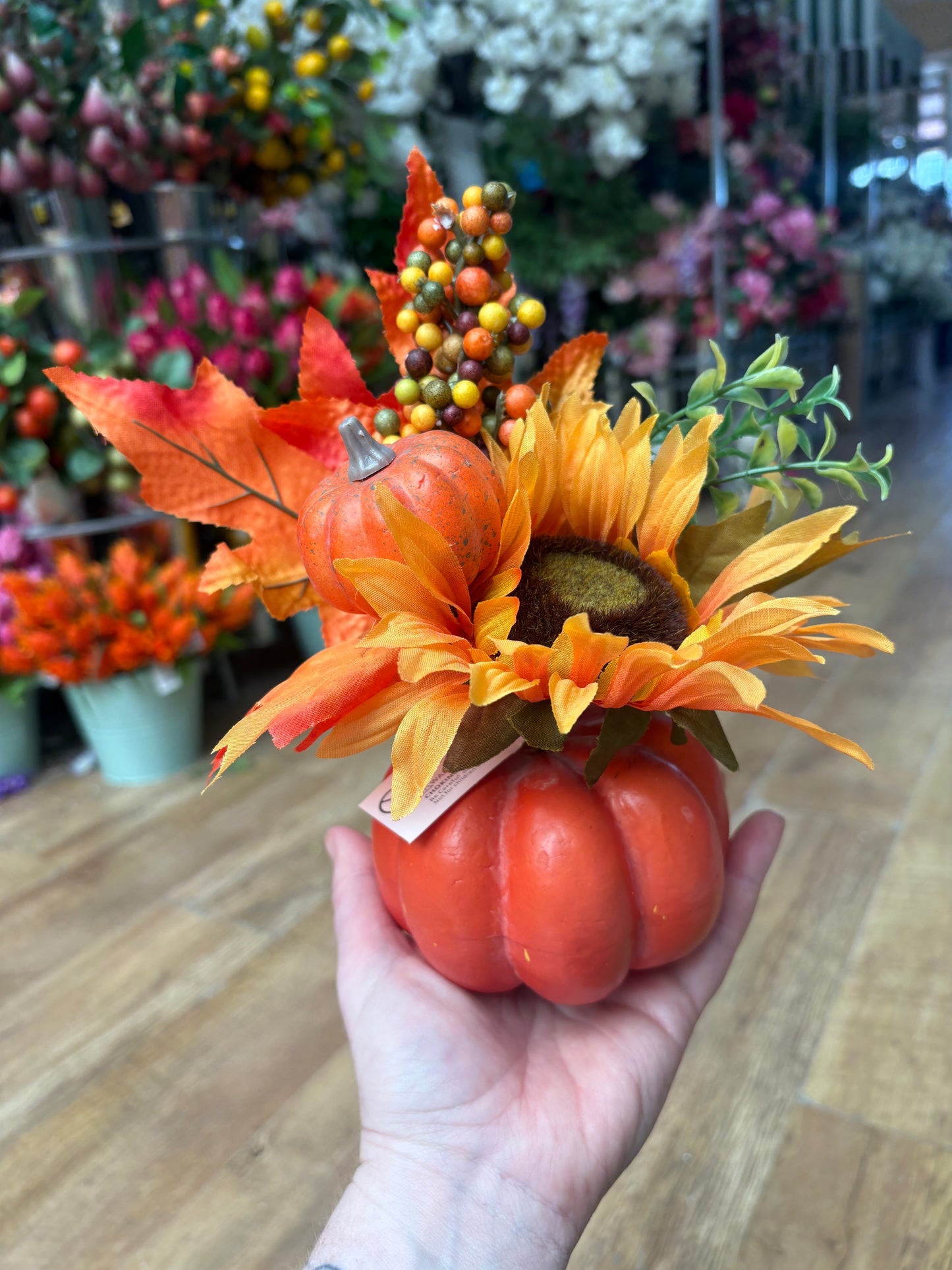 Autumnal pumpkin display