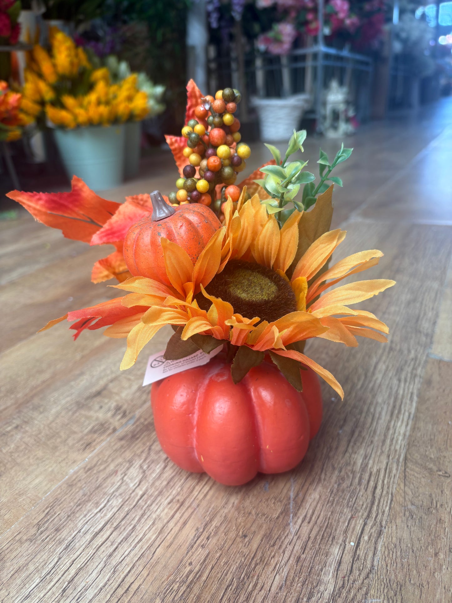 Autumnal pumpkin display