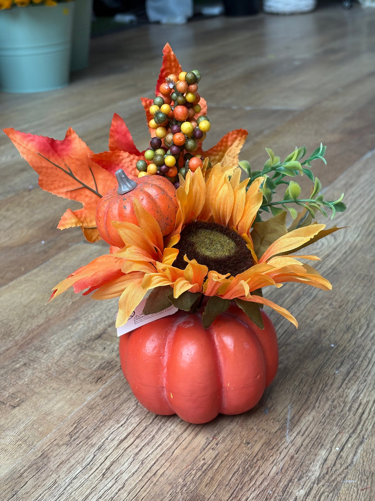 Autumnal pumpkin display