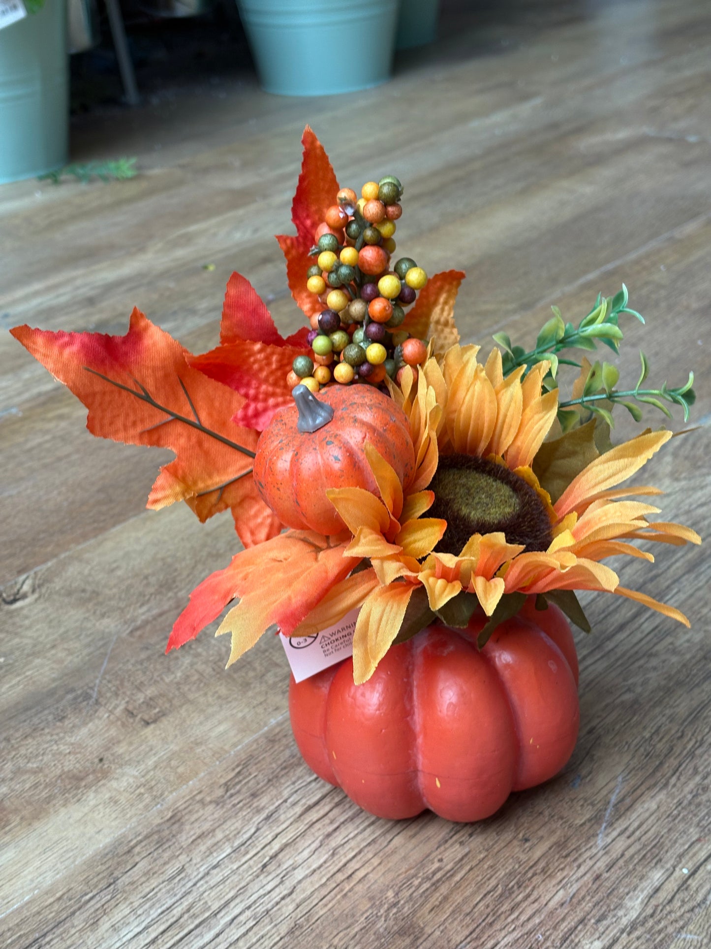 Autumnal pumpkin display