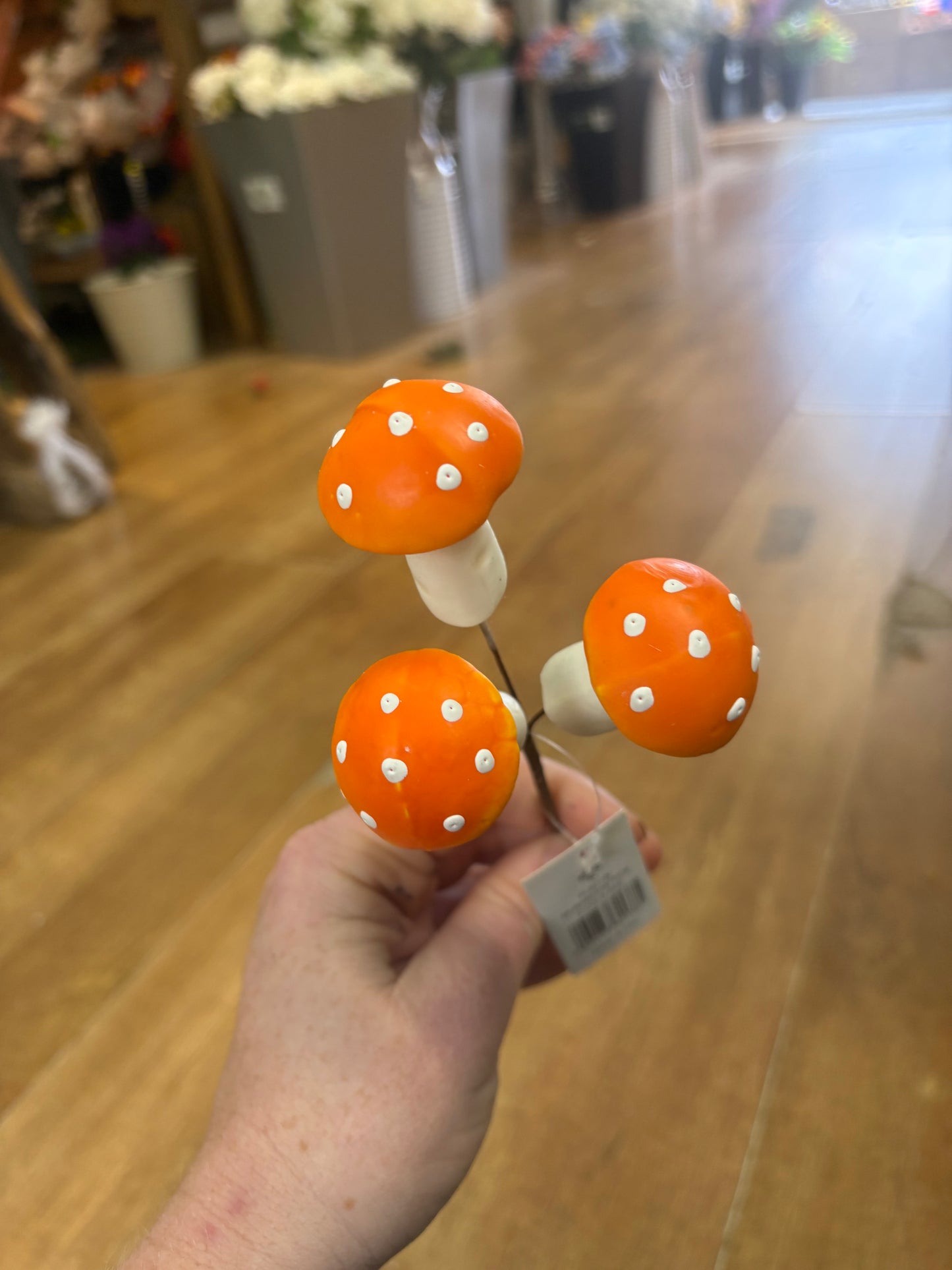 Small orange mushroom pick