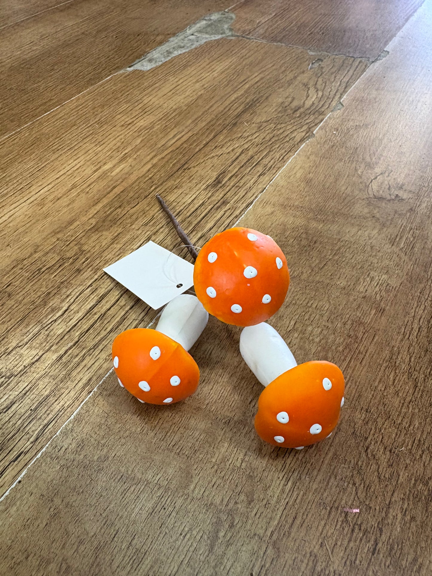 Small orange mushroom pick