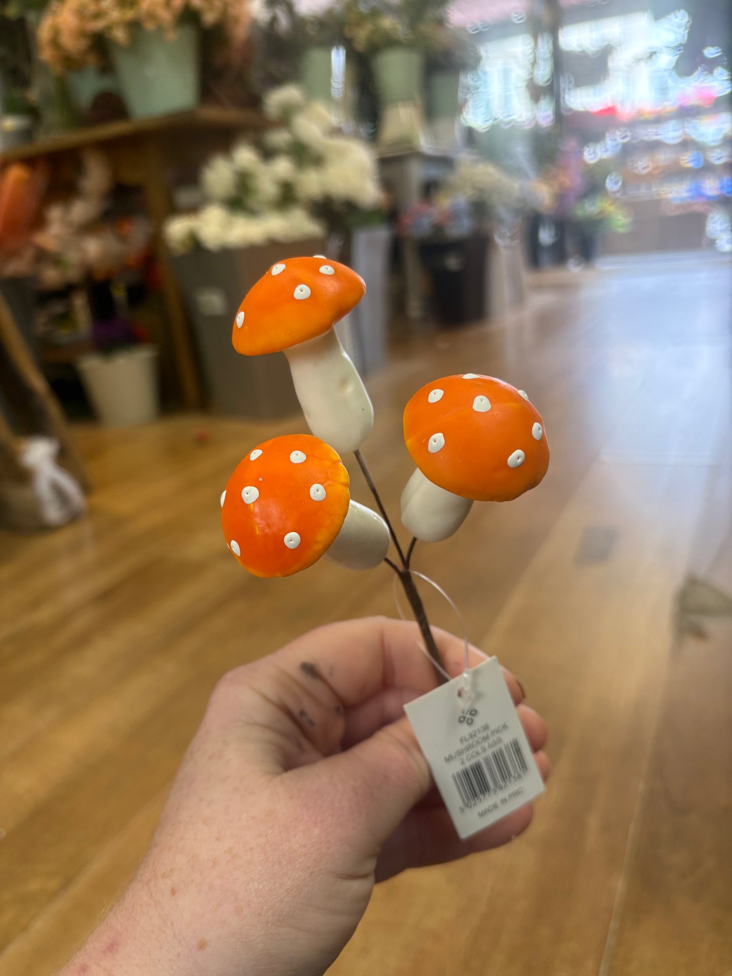 Small orange mushroom pick