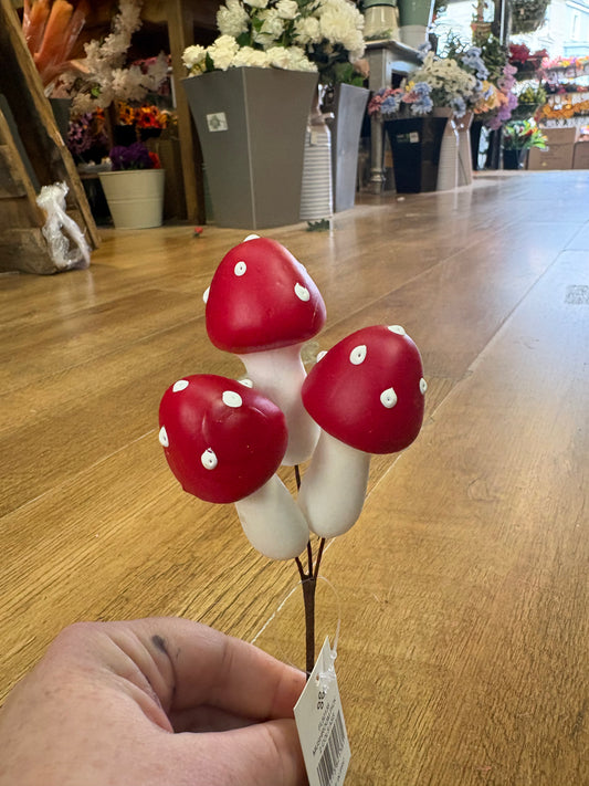 Small red toadstool pick