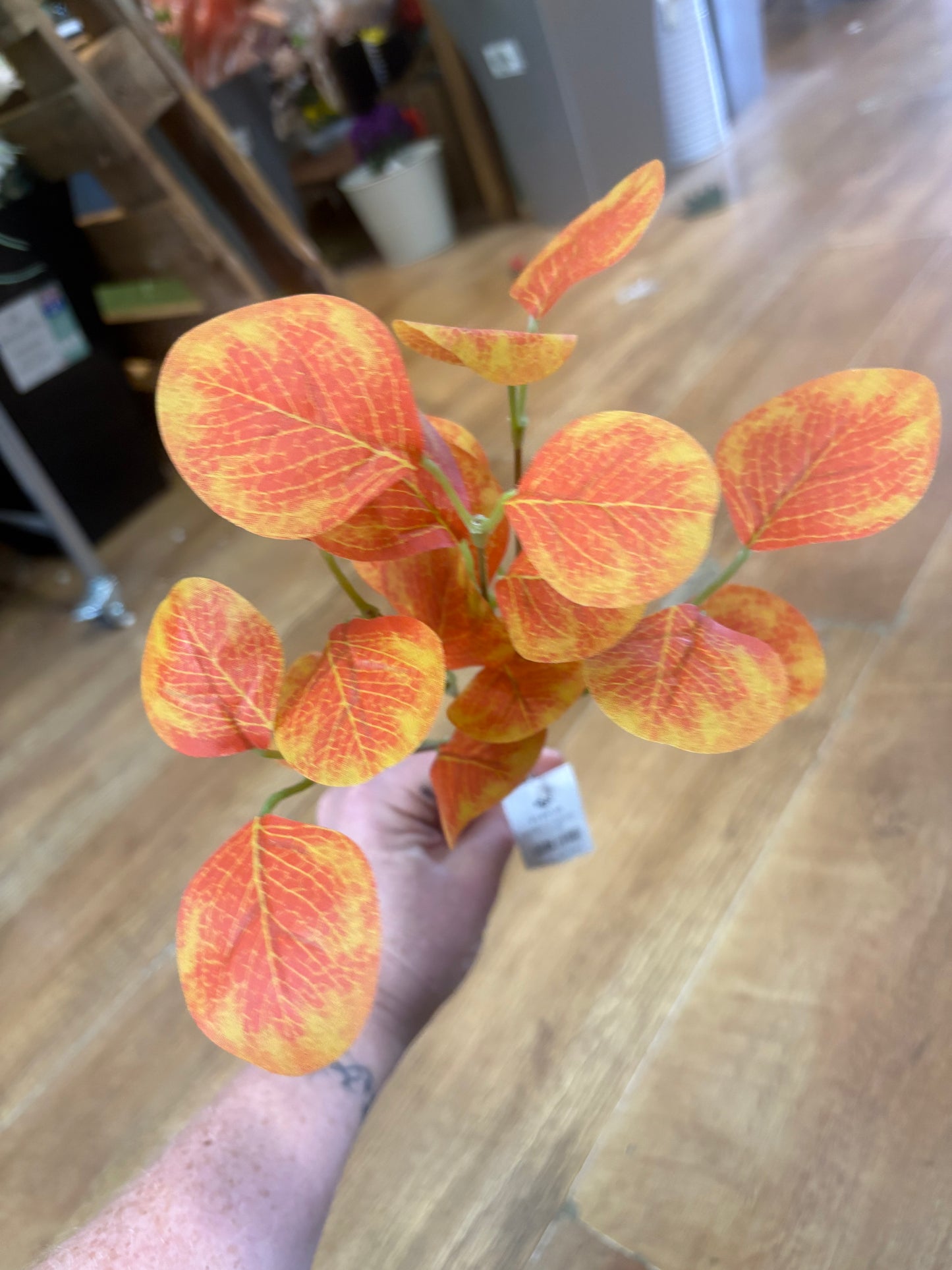 Autumnal round leaf eucalyptus bunch - 3 colours available