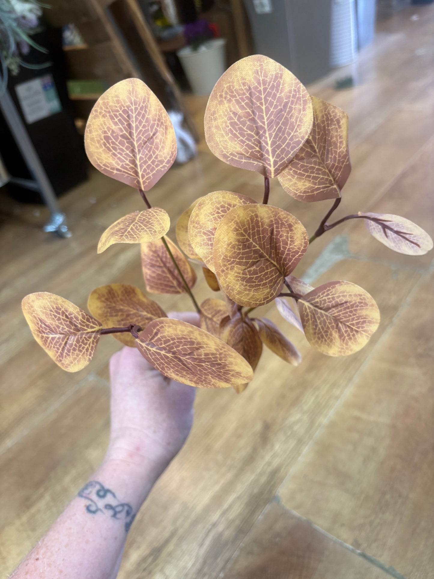 Autumnal round leaf eucalyptus bunch - 3 colours available