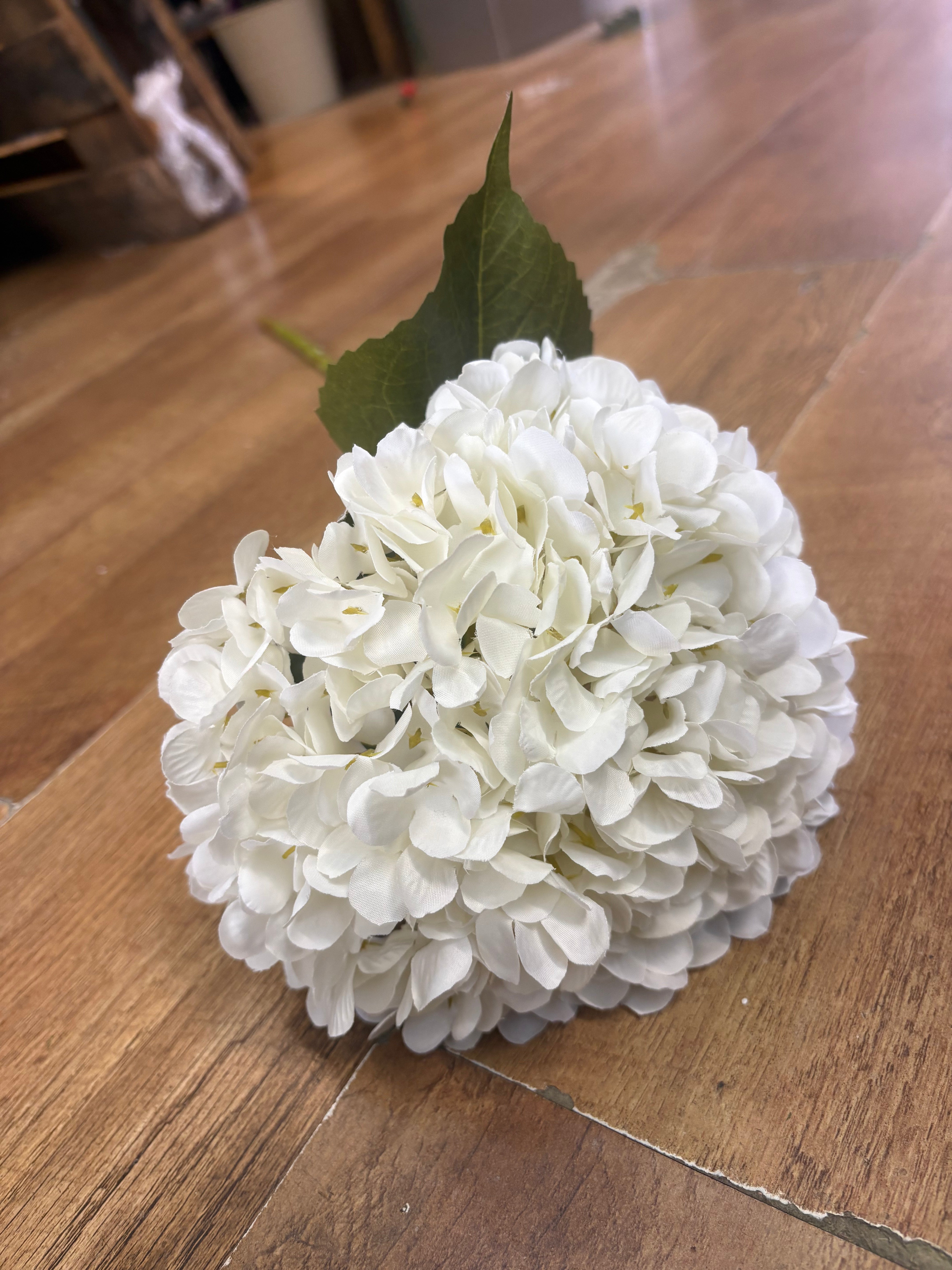 Long stem large head single ivory hydrangea