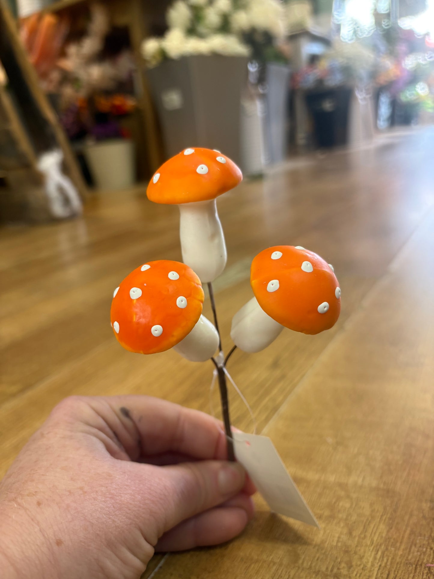 Small orange mushroom pick