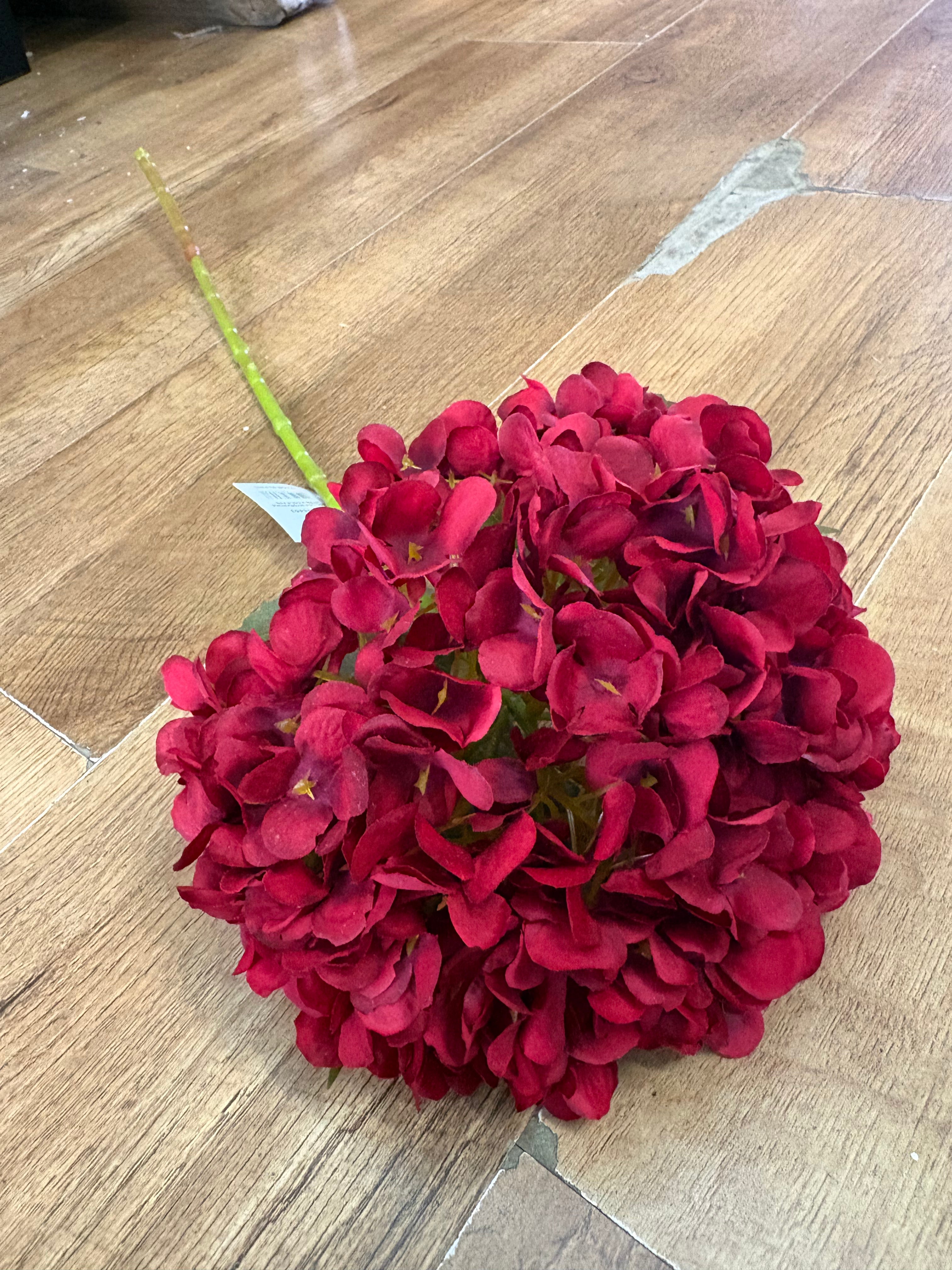 Long stem large head red single hydrangea