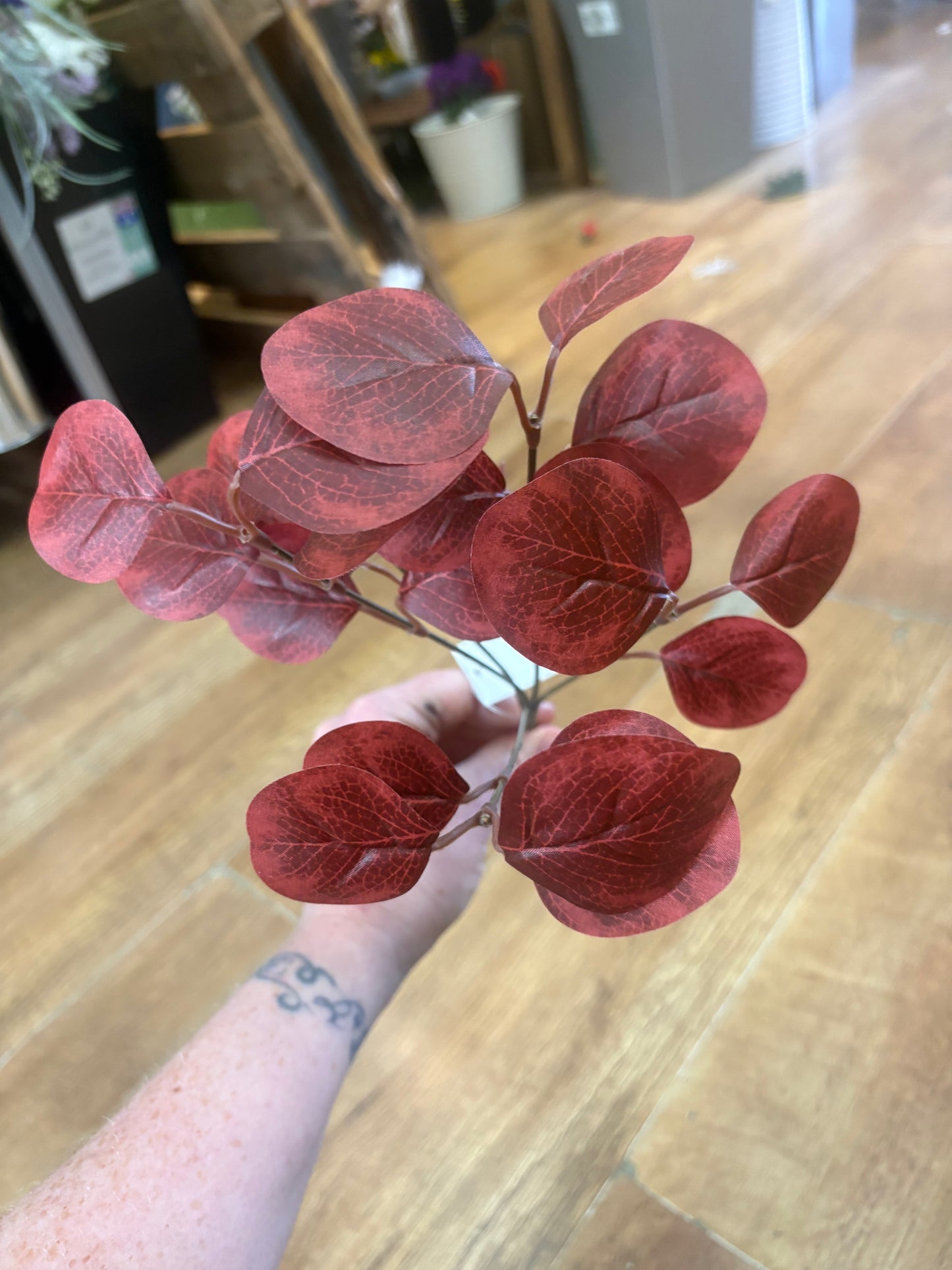 Autumnal round leaf eucalyptus bunch - 3 colours available
