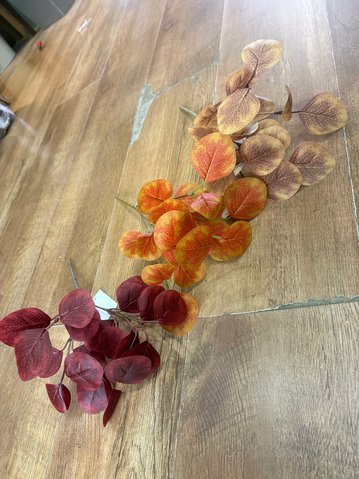 Autumnal round leaf eucalyptus bunch - 3 colours available