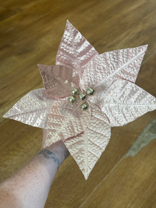 Long stem pale pink single fancy poinsettia