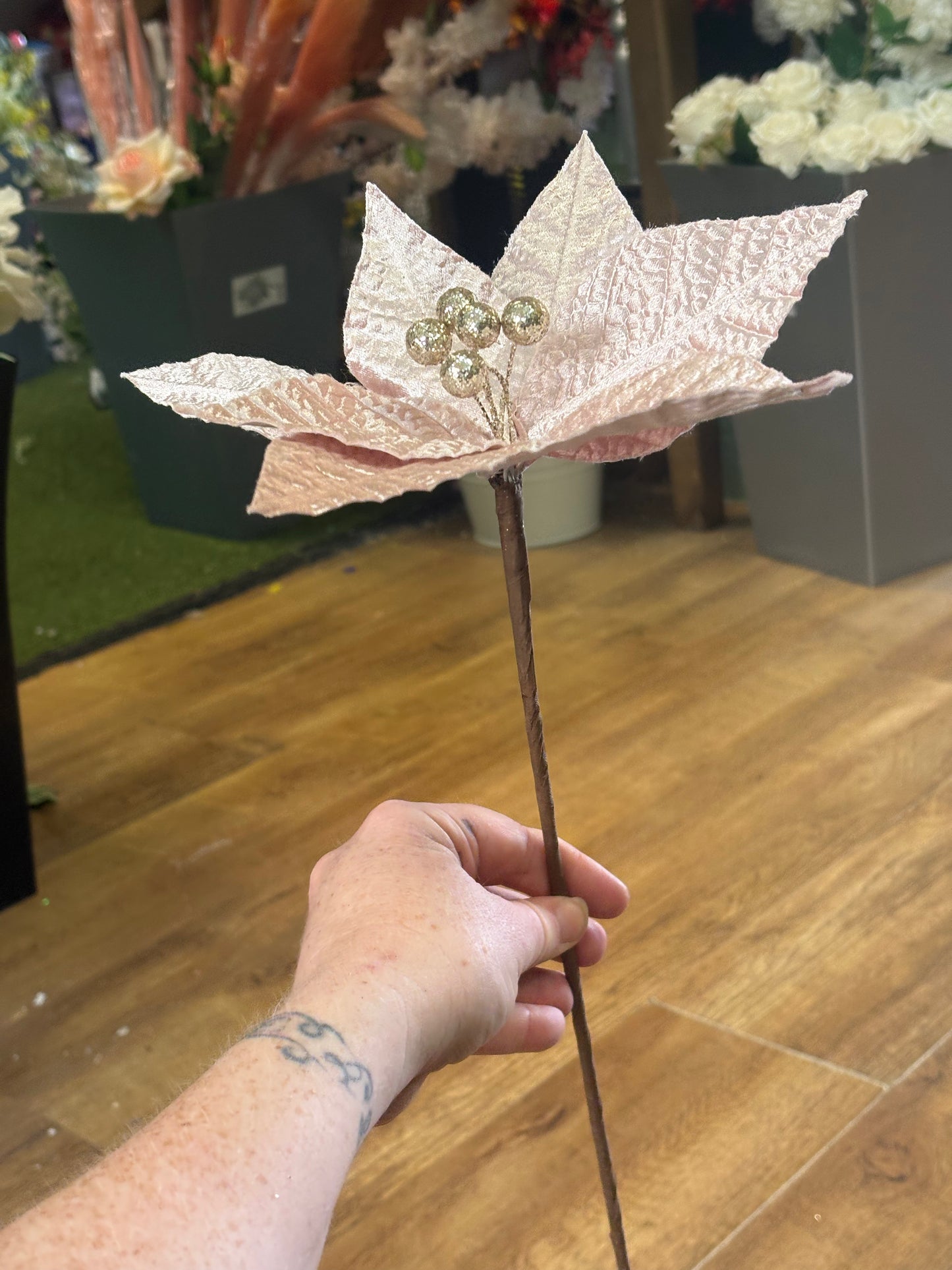 Bundle of the long stem single pale pink fancy poinsettias