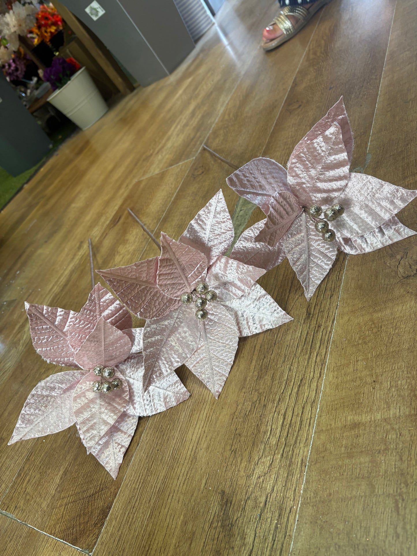Bundle of the long stem single pale pink fancy poinsettias