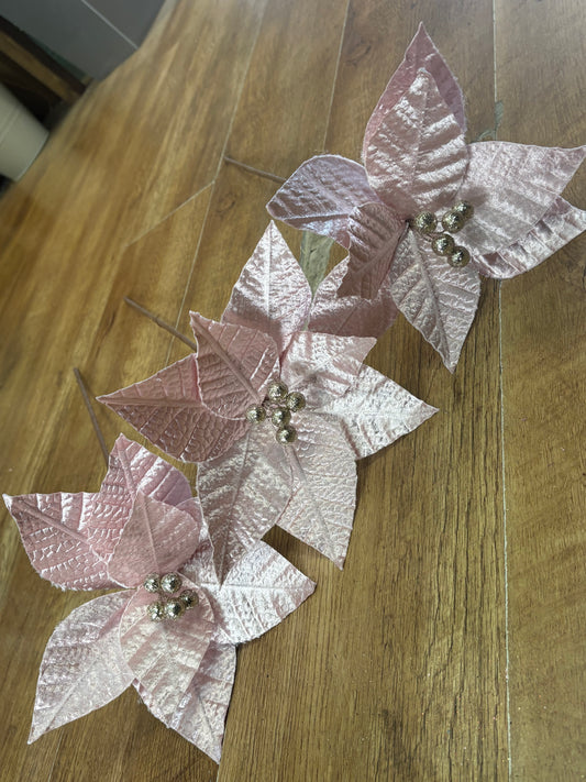 Bundle of the long stem single pale pink fancy poinsettias