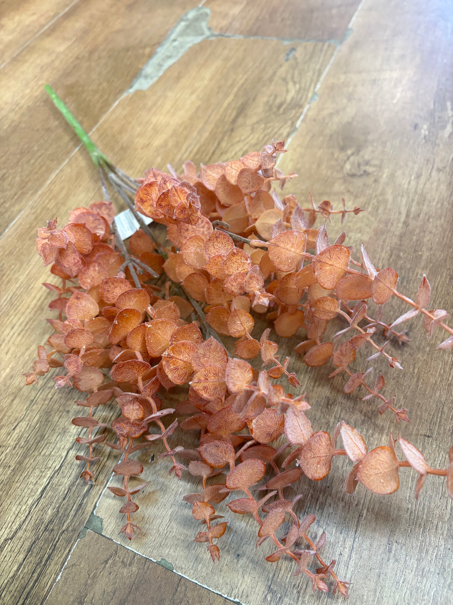 Dusky eucalyptus bunch - 4 colours available