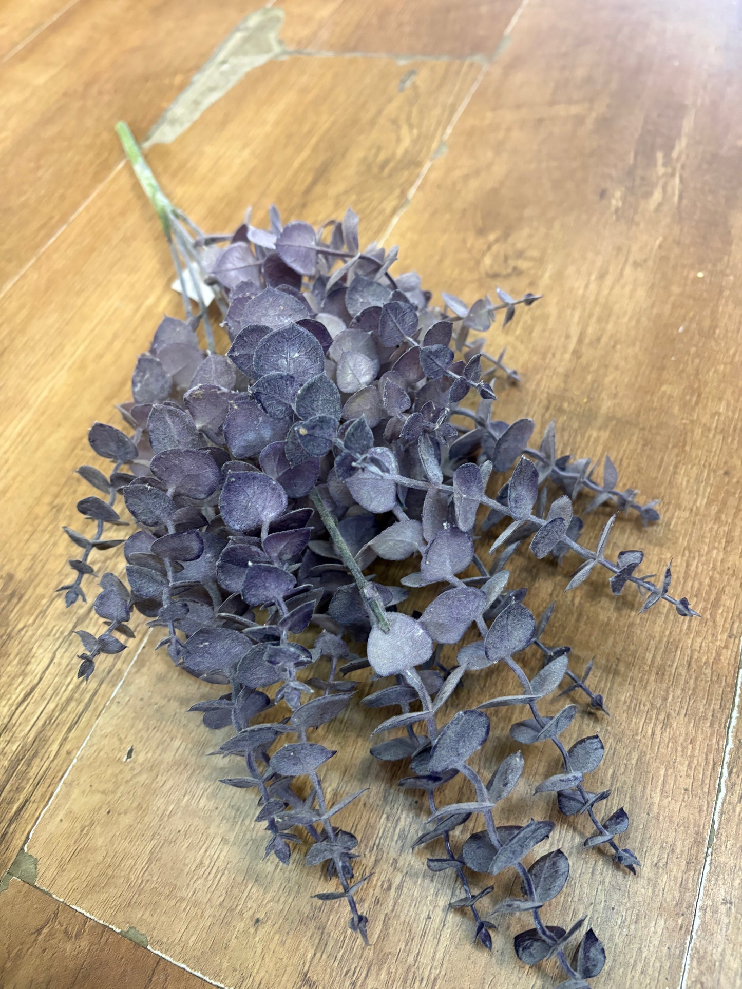 Dusky eucalyptus bunch - 4 colours available