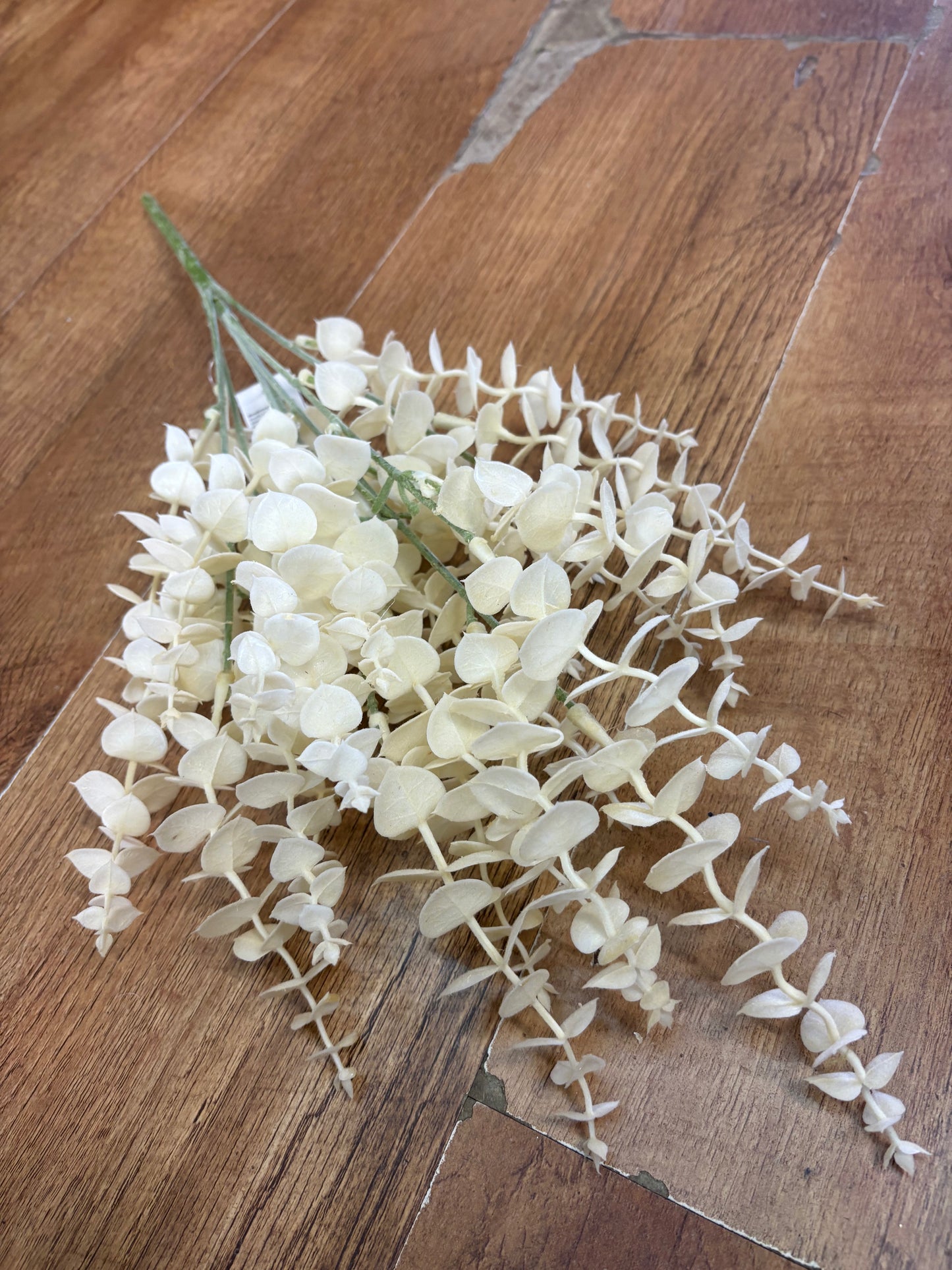 Dusky eucalyptus bunch - 4 colours available