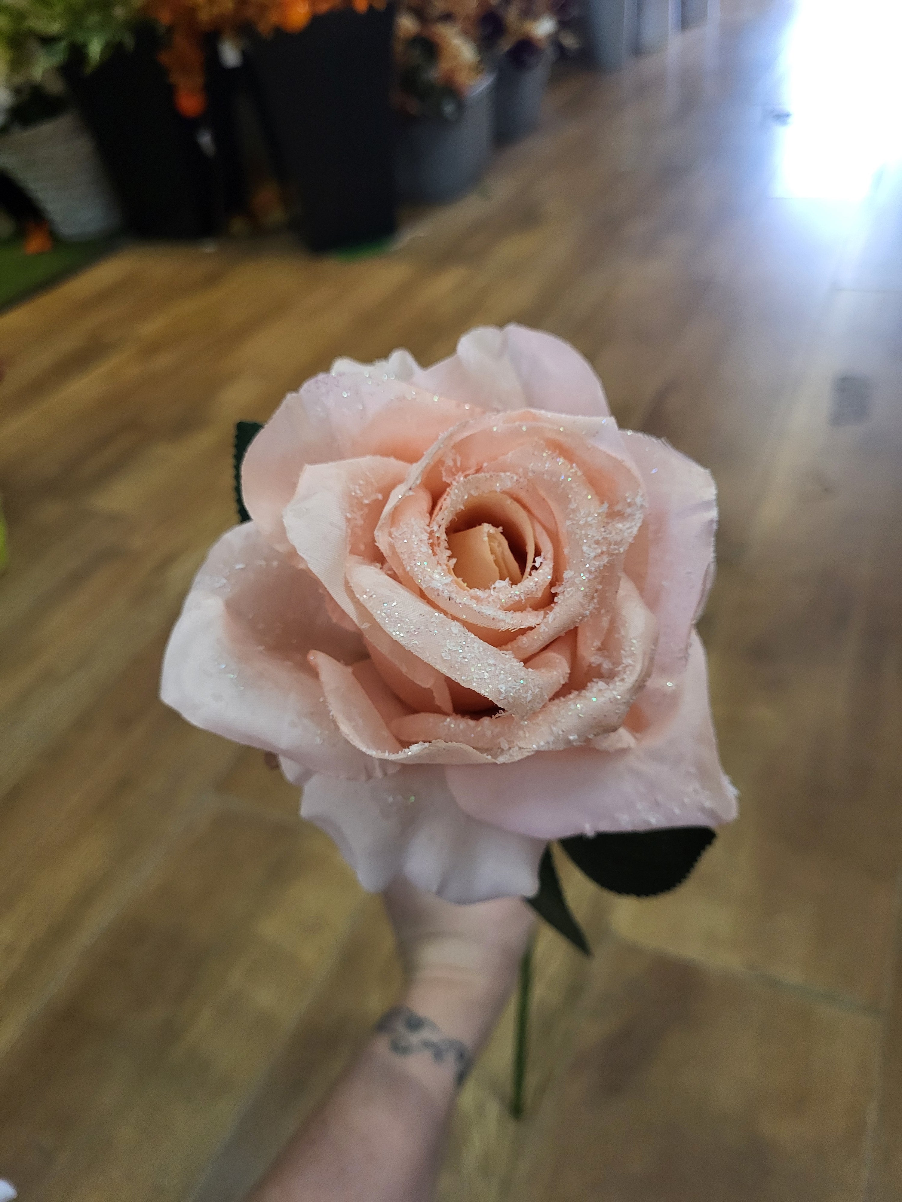 Long stem single frosted soft pink Rose image 2