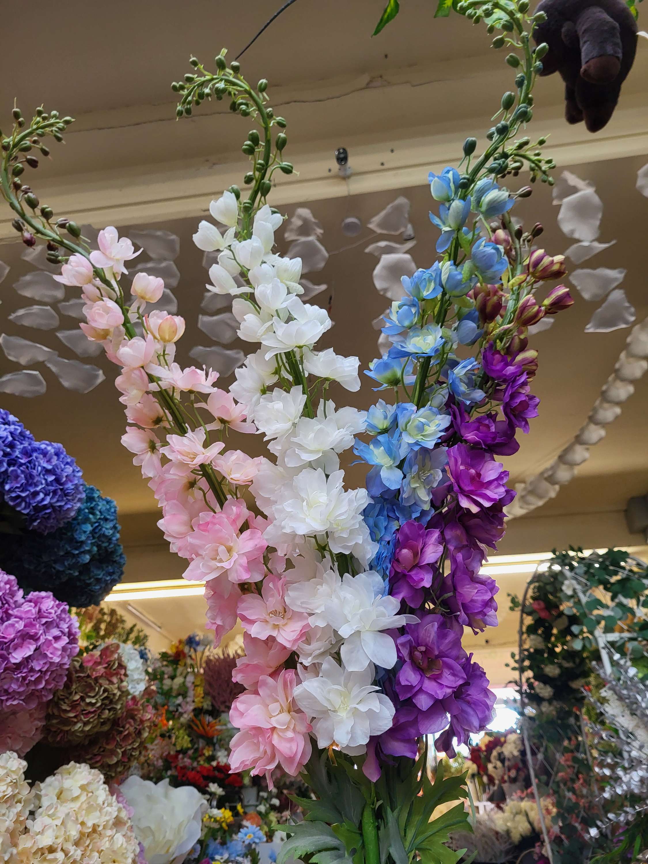 Giant delphiniums!! 137cm tall! - 4 colours available image 11