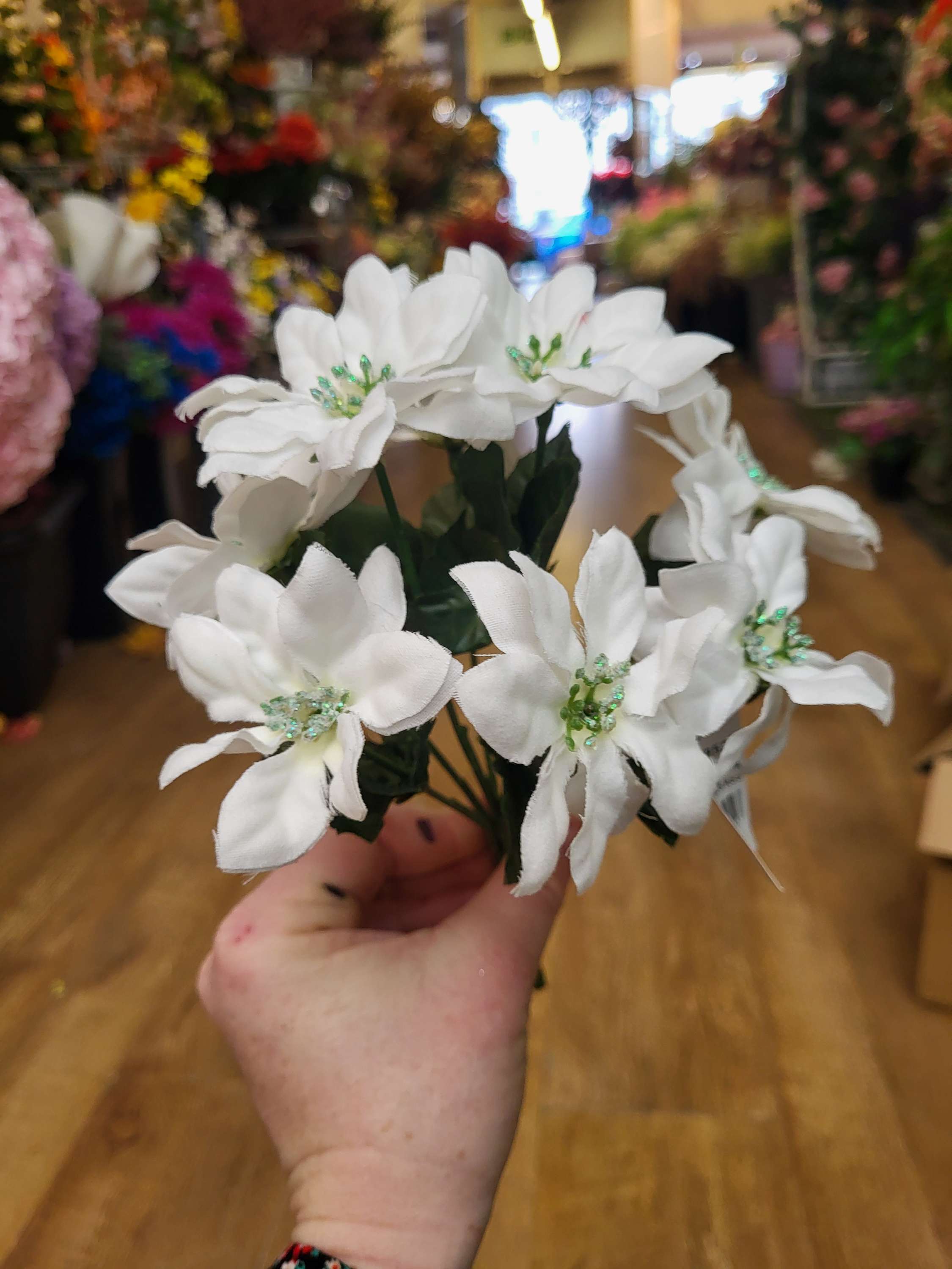 Mini poinsettia bunch - 4 colours available image 6