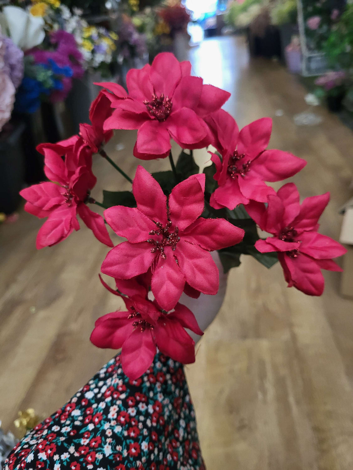 Mini poinsettia bunch - 4 colours available image 1