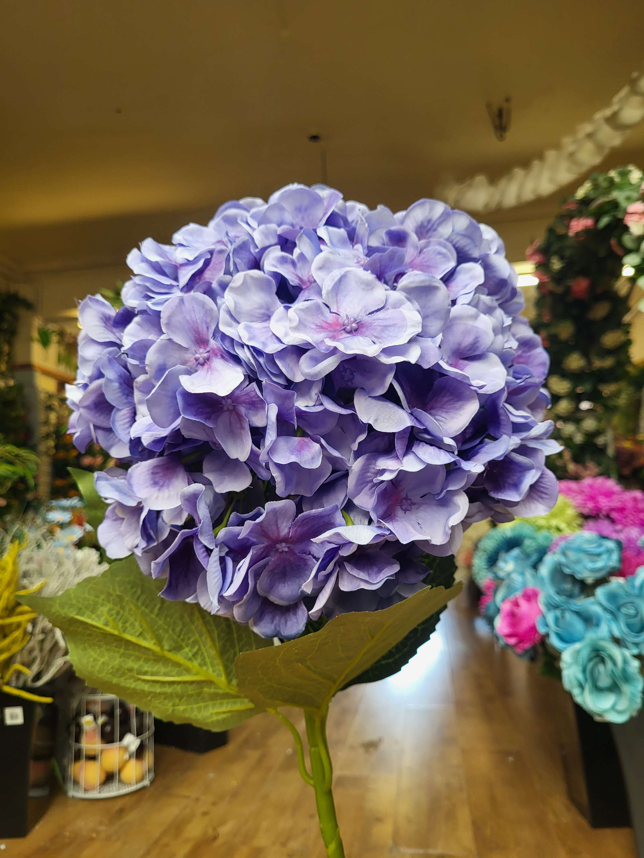 Giant head lavender  premium hydrangea  image 0