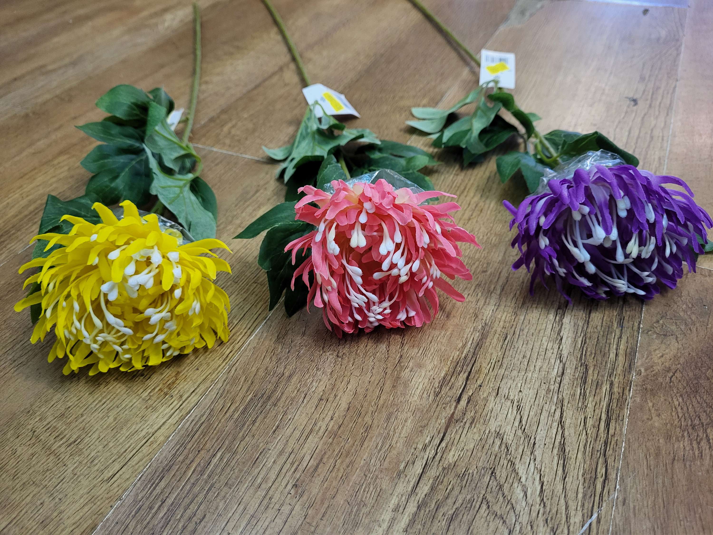 Long stem single chrysanthemum  - 3 colours available image 1