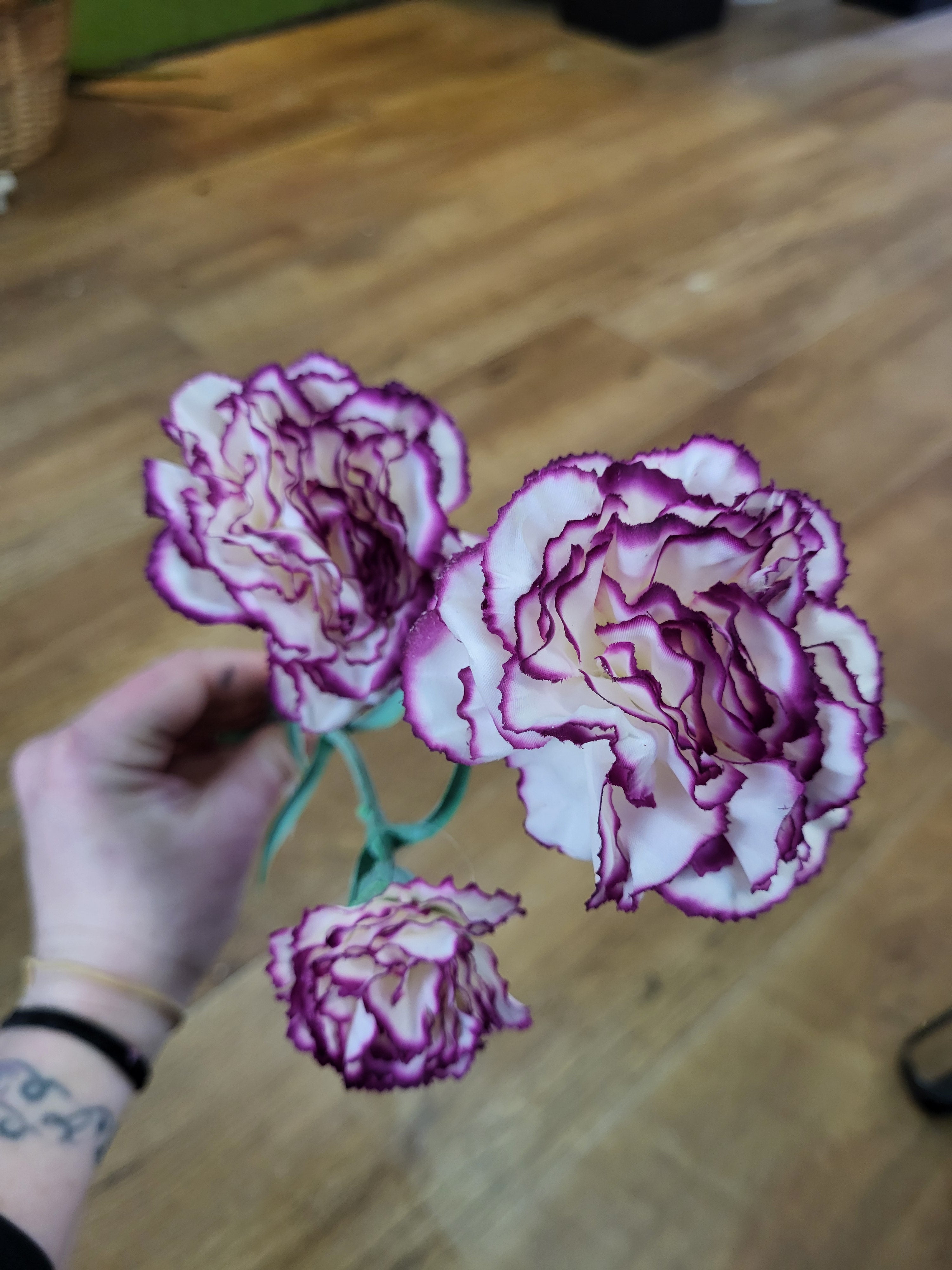 Long stem magenta and white triple head carnation  image 0