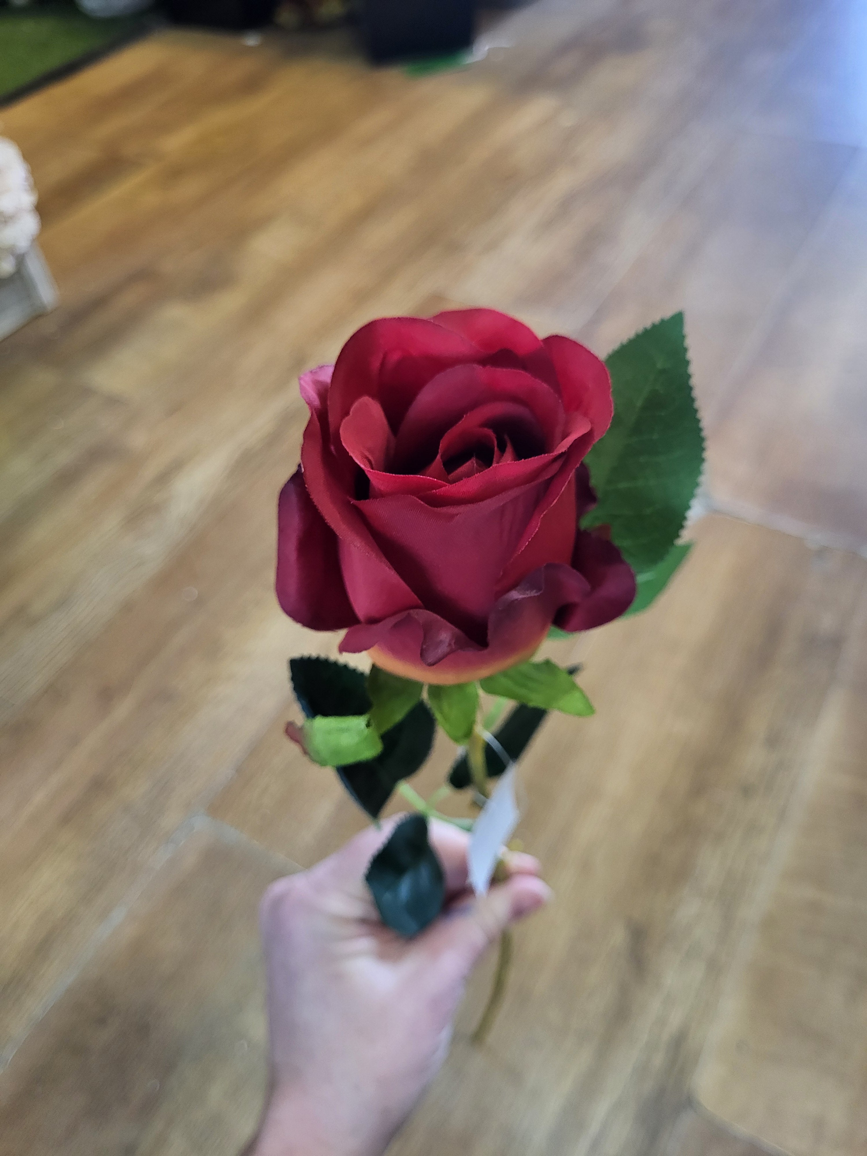 Single Red Celia Rose image 3